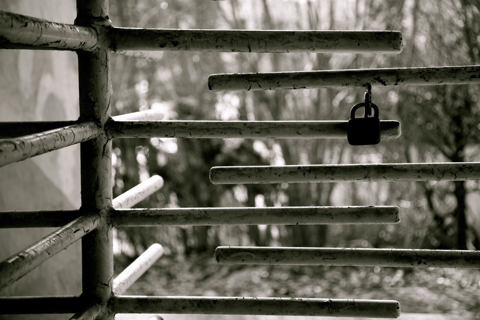 Canon EOS 5D Mark II sample photo. Swimming pool, old, abandoned photography