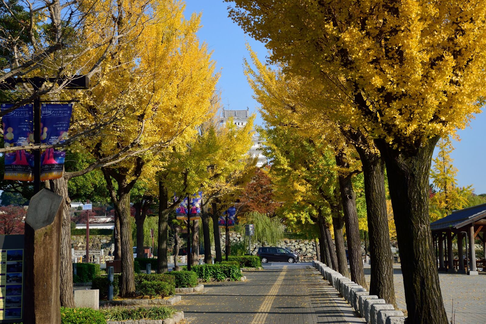 Nikon D5300 sample photo. Autumn, tree, japan photography