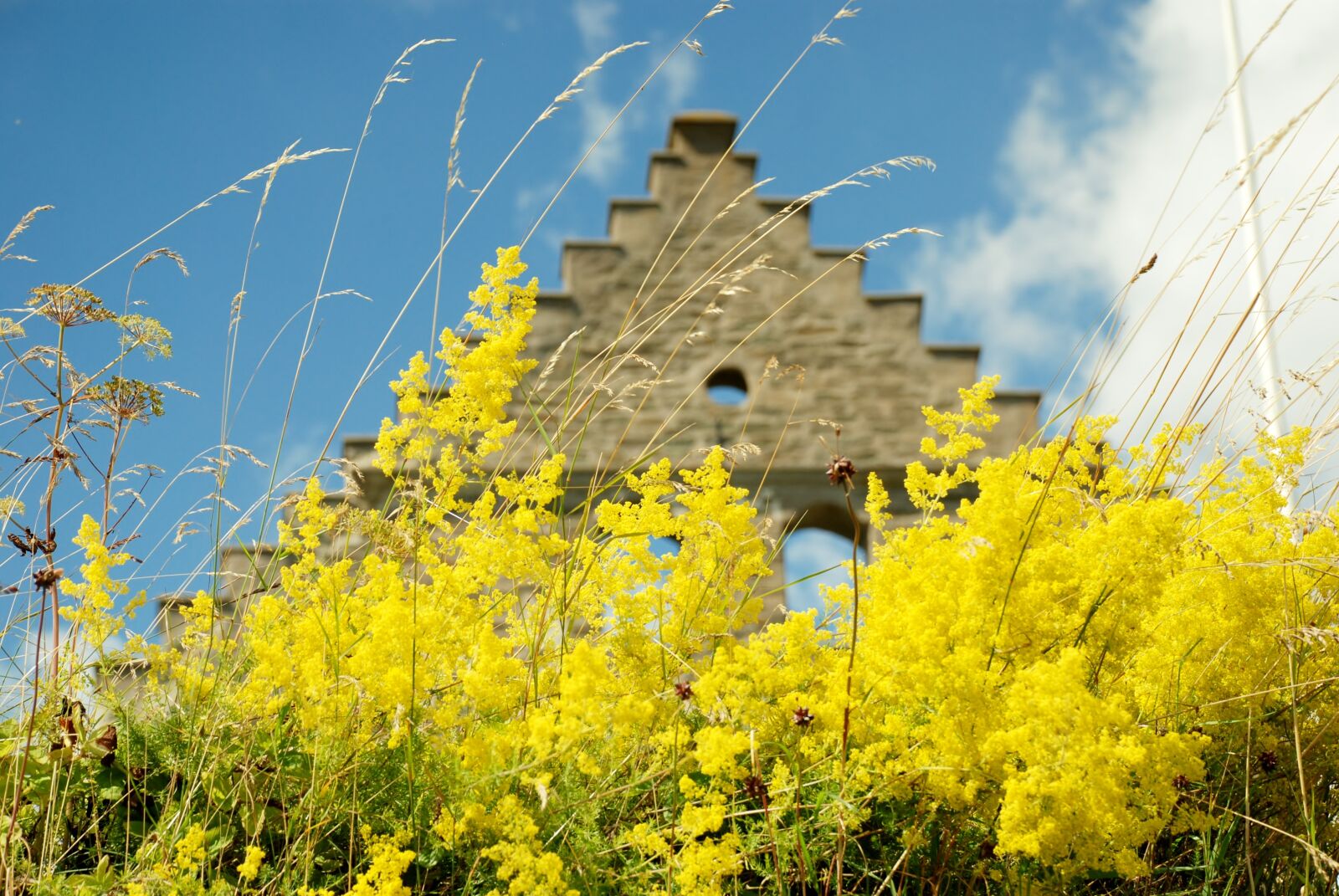 Nikon D80 sample photo. Ruin, sweden, visingsö photography