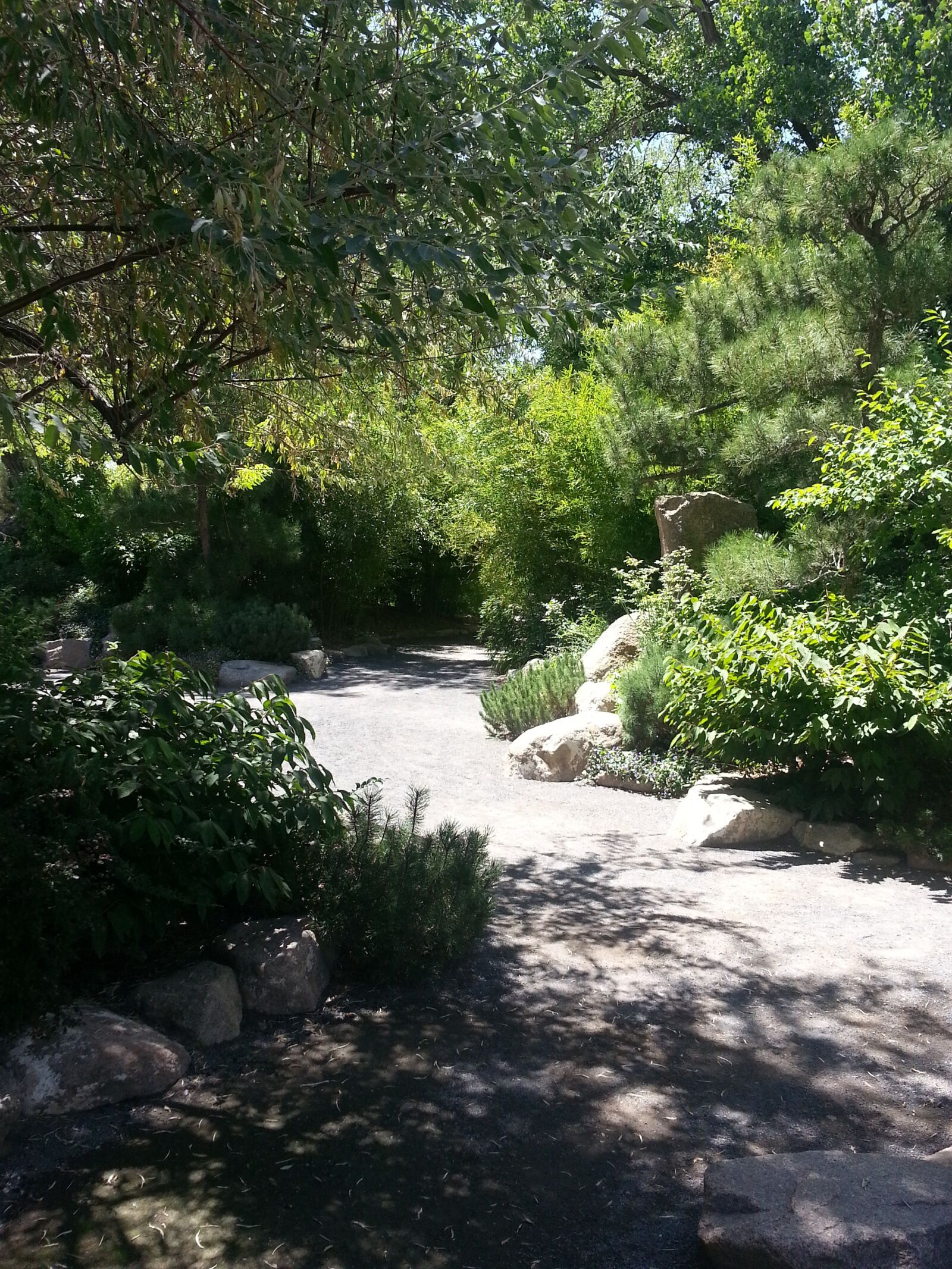 Samsung Galaxy S3 sample photo. Outdoors, bushes, trees photography