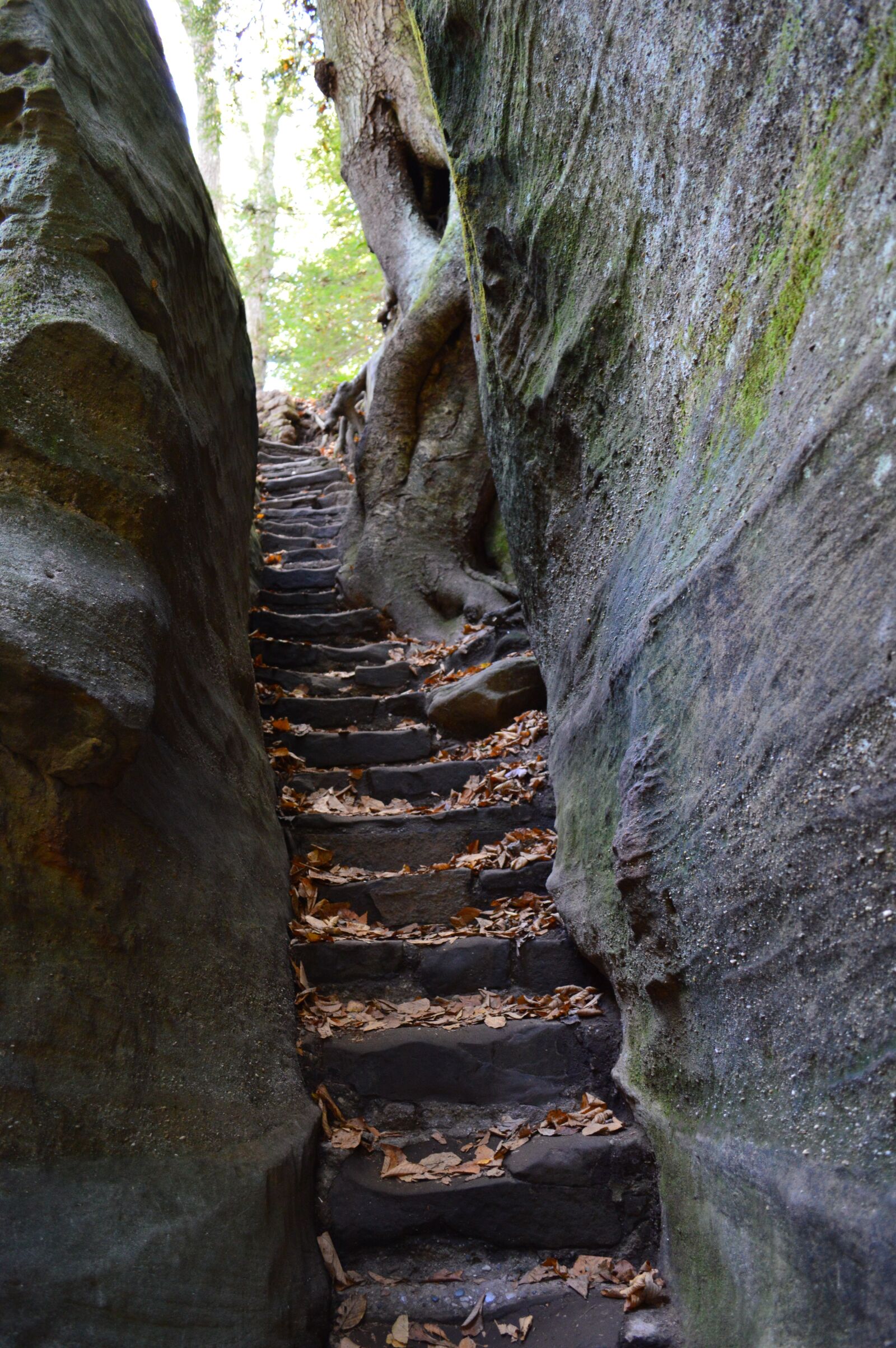 Nikon D3200 sample photo. Stairway, rock stairway, nature photography
