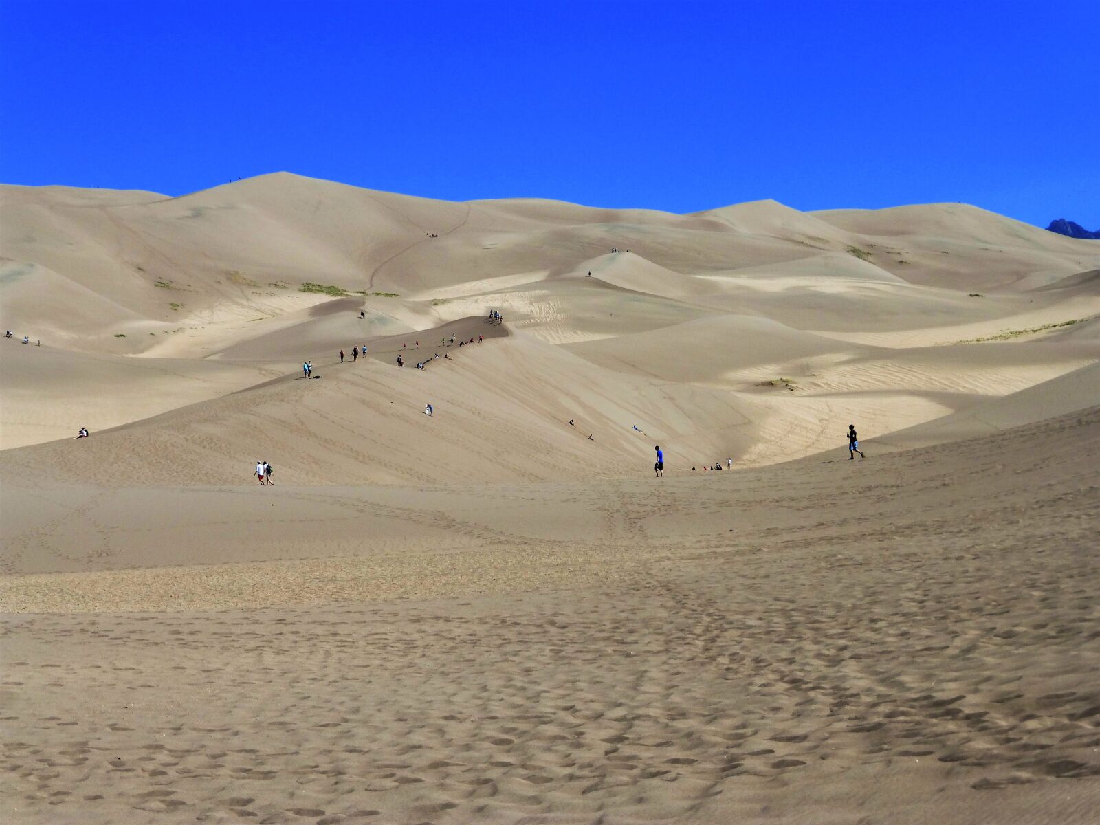 Panasonic Lumix DMC-ZS25 (Lumix DMC-TZ35) sample photo. Usa, national park, sand photography
