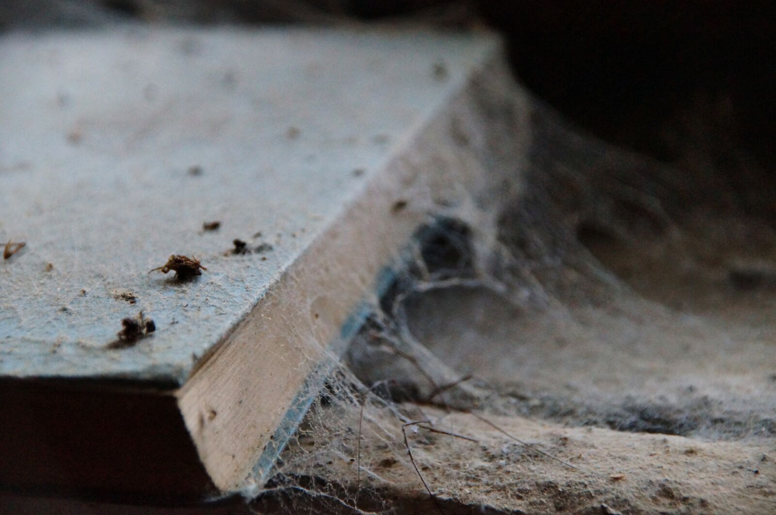 Sony SLT-A57 sample photo. Book, dusty, forget photography