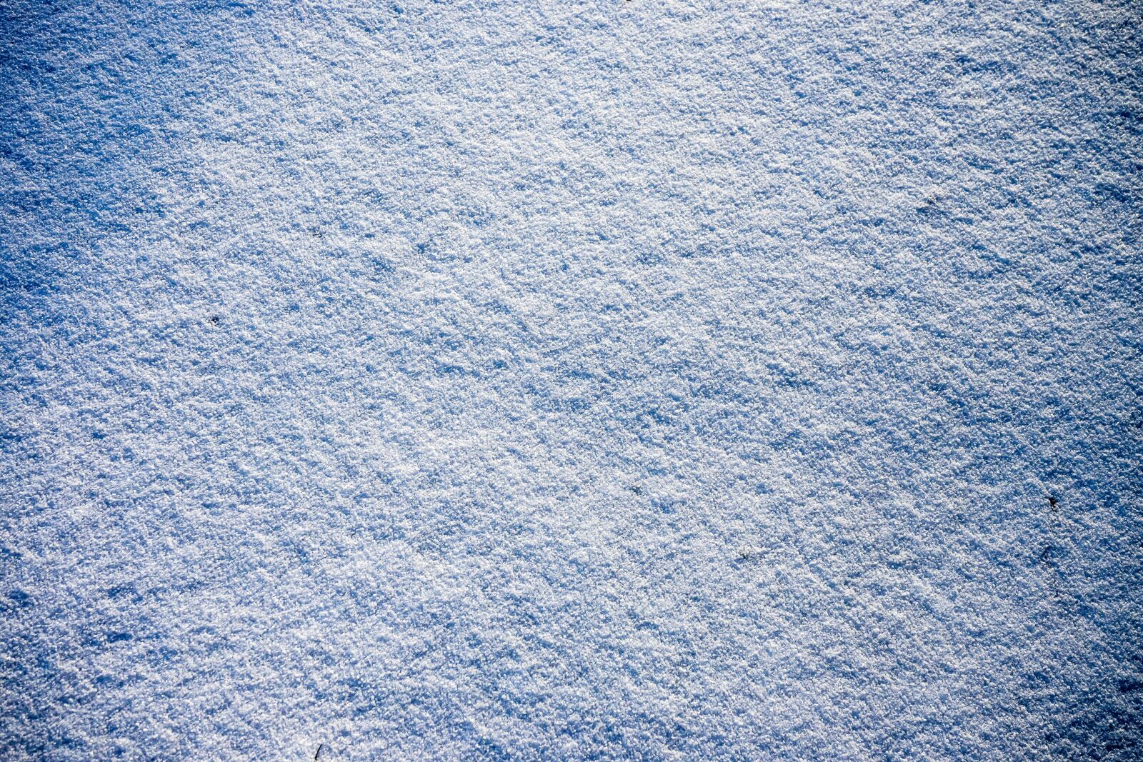 Sony a7 II sample photo. Snow, ice, powder snow photography