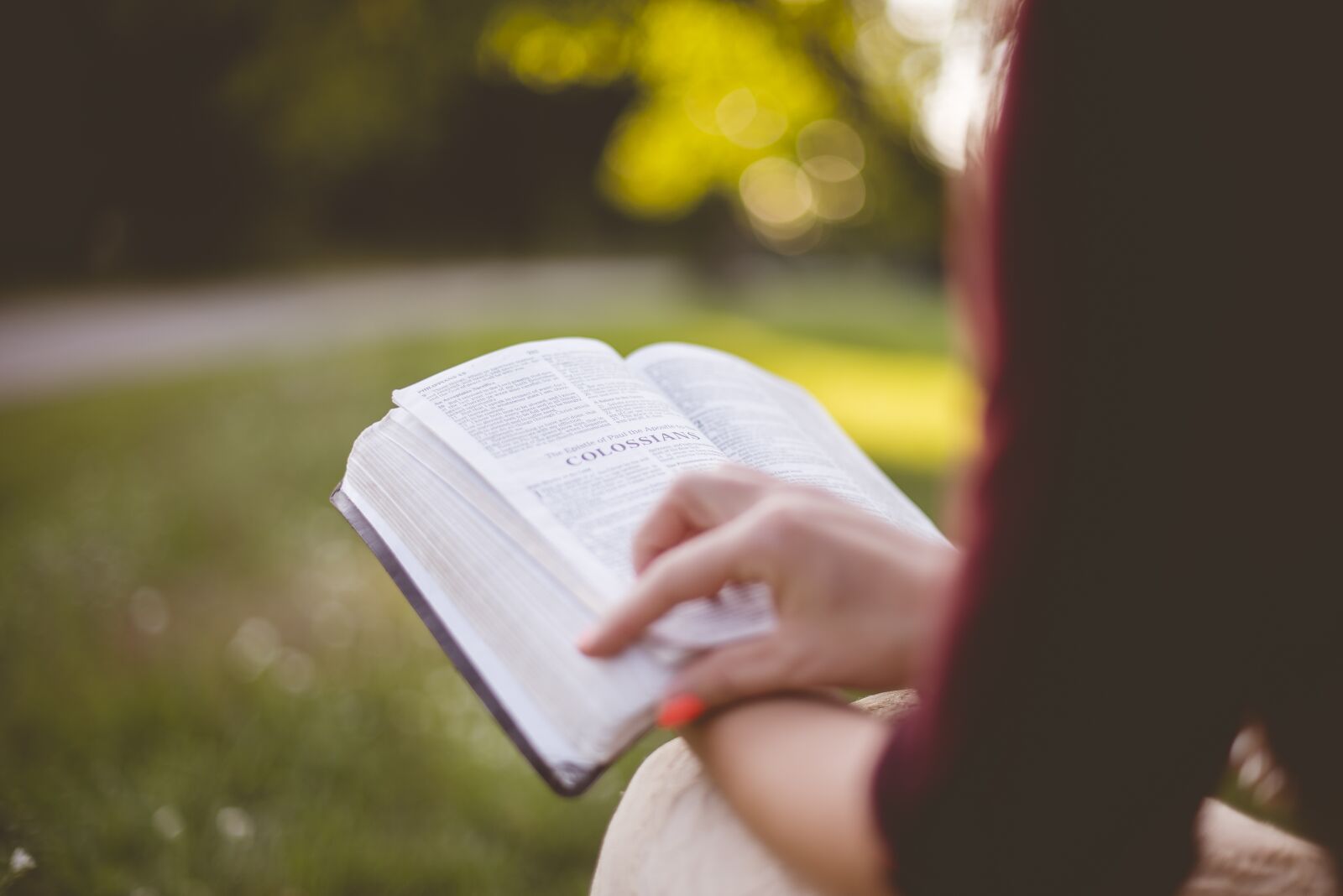 Nikon D750 sample photo. Book, college, education photography