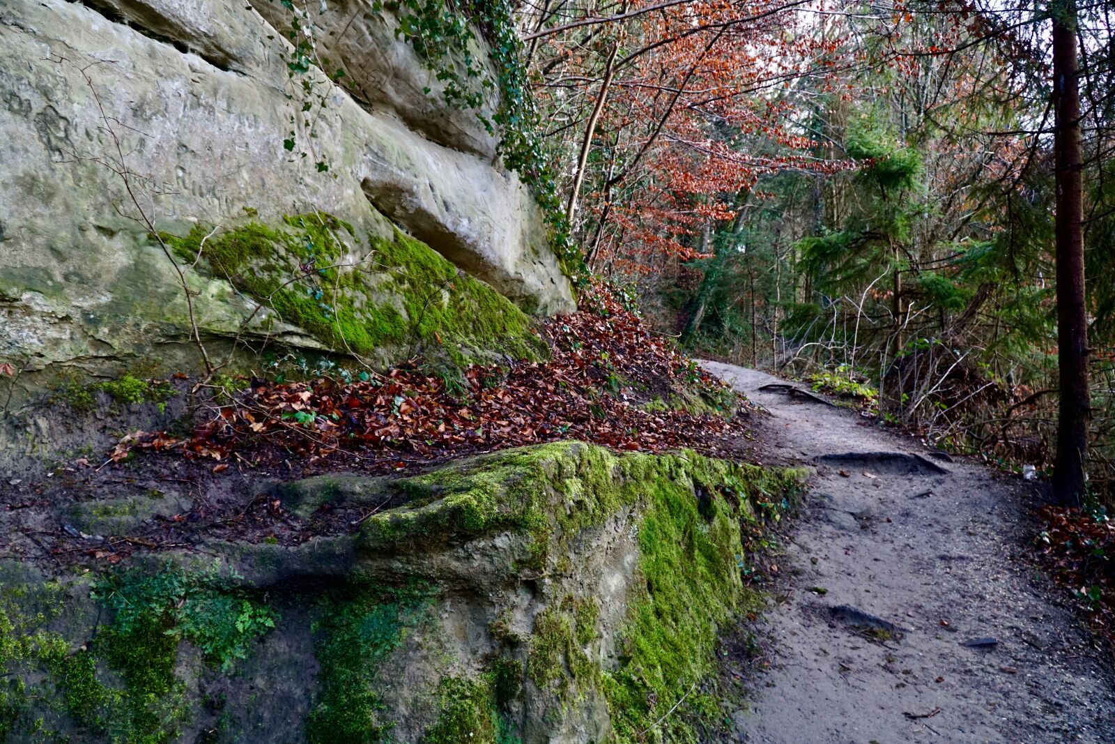 Sony a6000 + Sony E PZ 18-105mm F4 G OSS sample photo. Rock, rocky trail, mountains photography