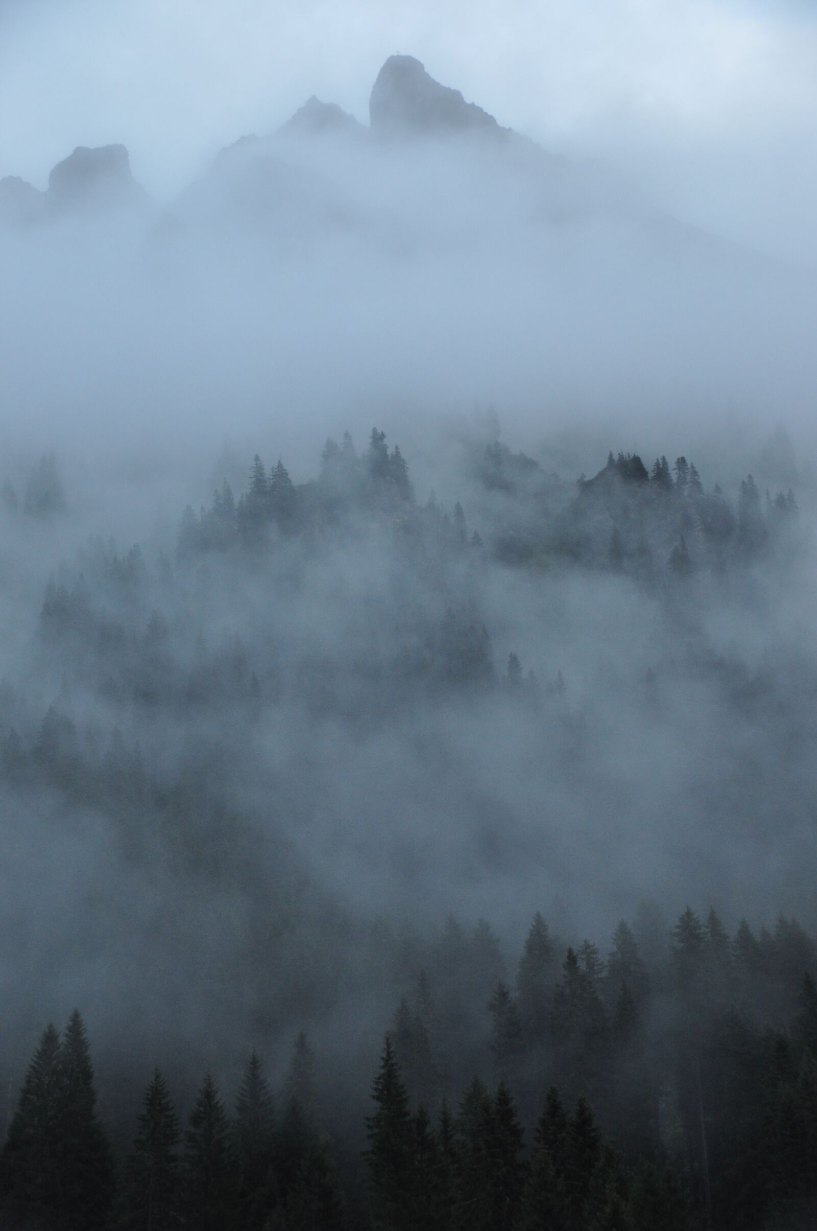 Nikon D5000 sample photo. Fog, clouds, mountains photography