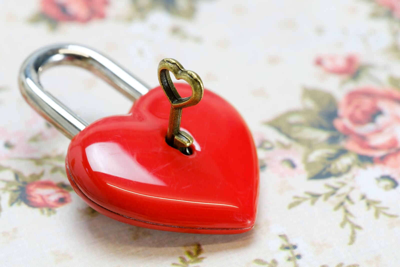 Fujifilm X-T2 + Fujifilm XF 80mm F2.8 R LM OIS WR Macro sample photo. Heart, love, romance photography