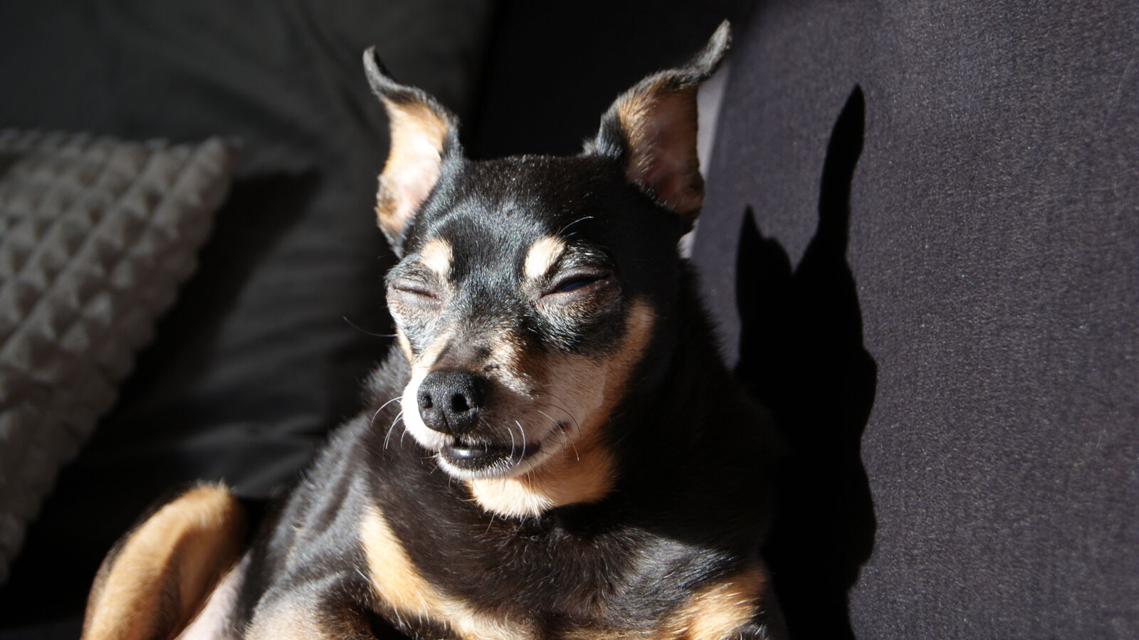 Sony Alpha DSLR-A230 sample photo