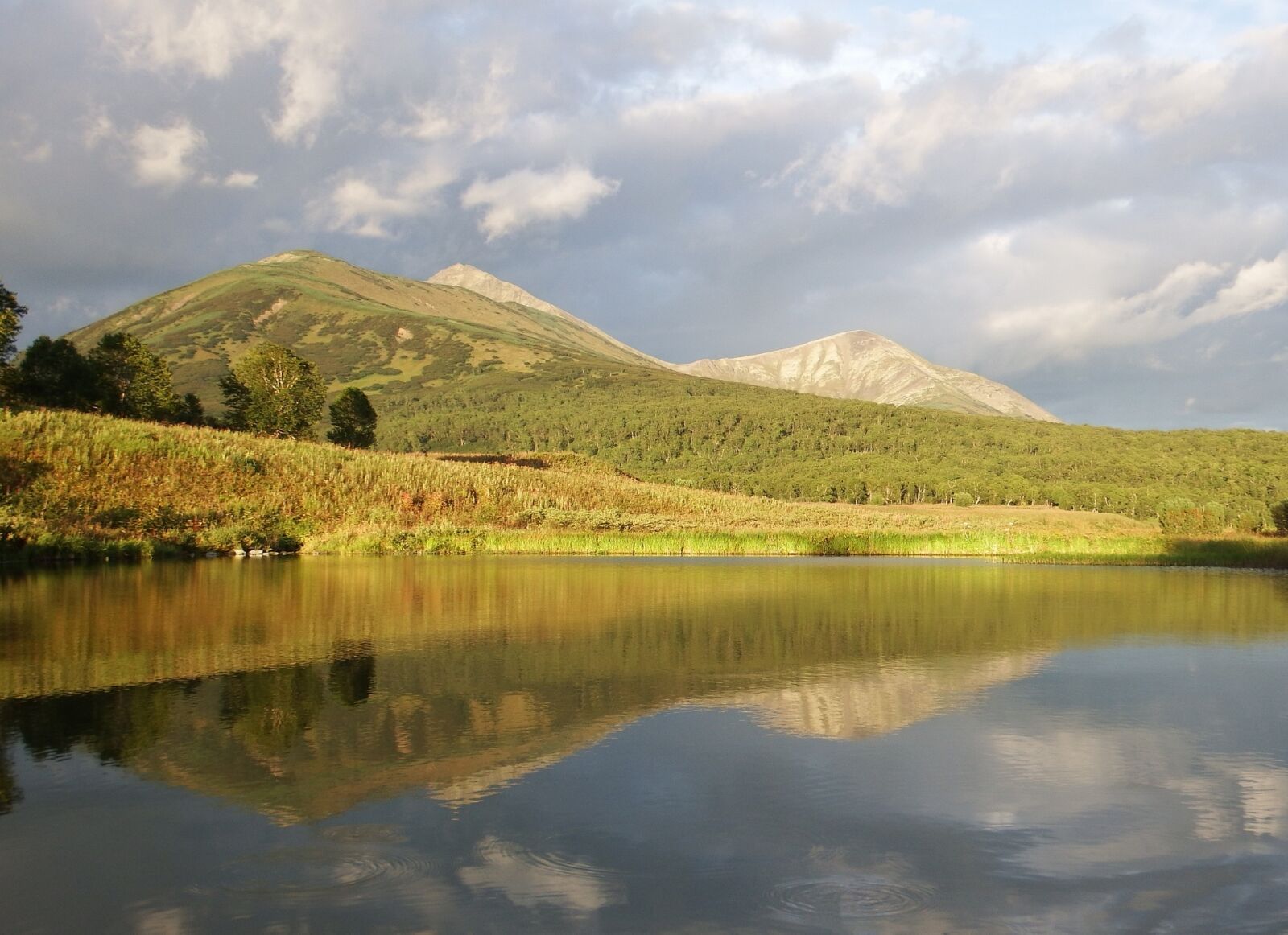 Fujifilm FinePix S1 sample photo. Lake, mountains, forest photography