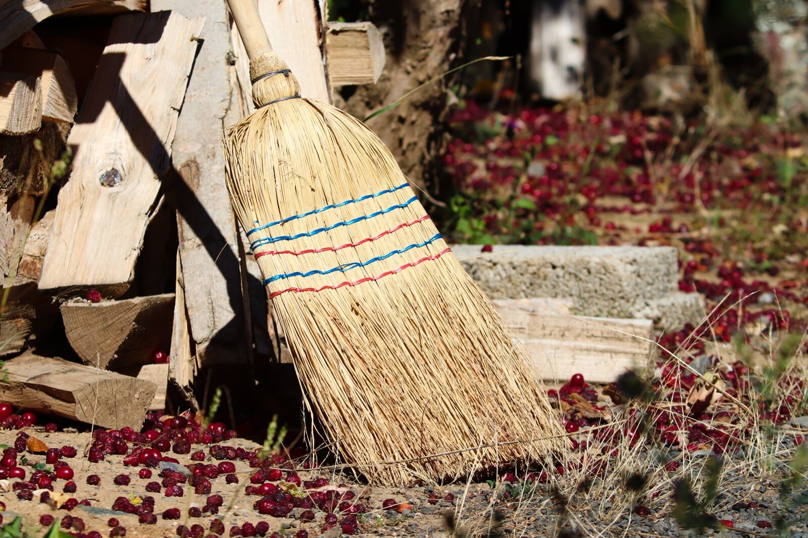 Canon EOS 200D (EOS Rebel SL2 / EOS Kiss X9) sample photo. Broom, straw, street photography