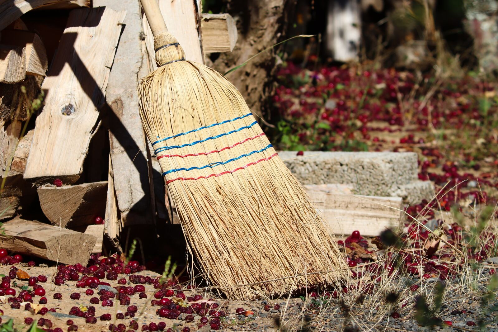 Canon EOS 200D (EOS Rebel SL2 / EOS Kiss X9) + Canon EF-S 55-250mm F4-5.6 IS II sample photo. Broom, straw, street photography