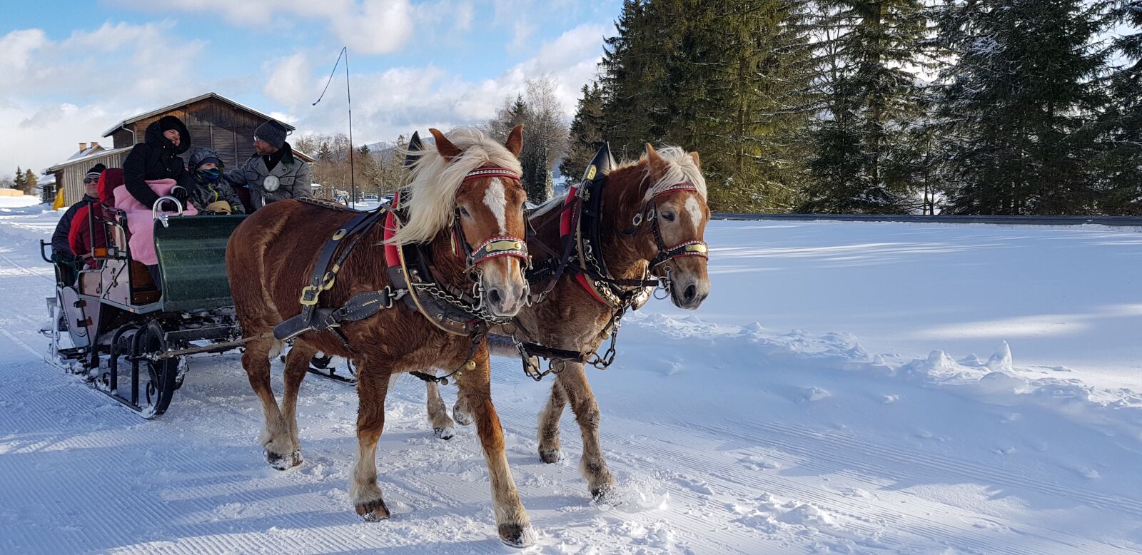 Samsung Galaxy S8 sample photo. Winter, snow, horse drawn photography