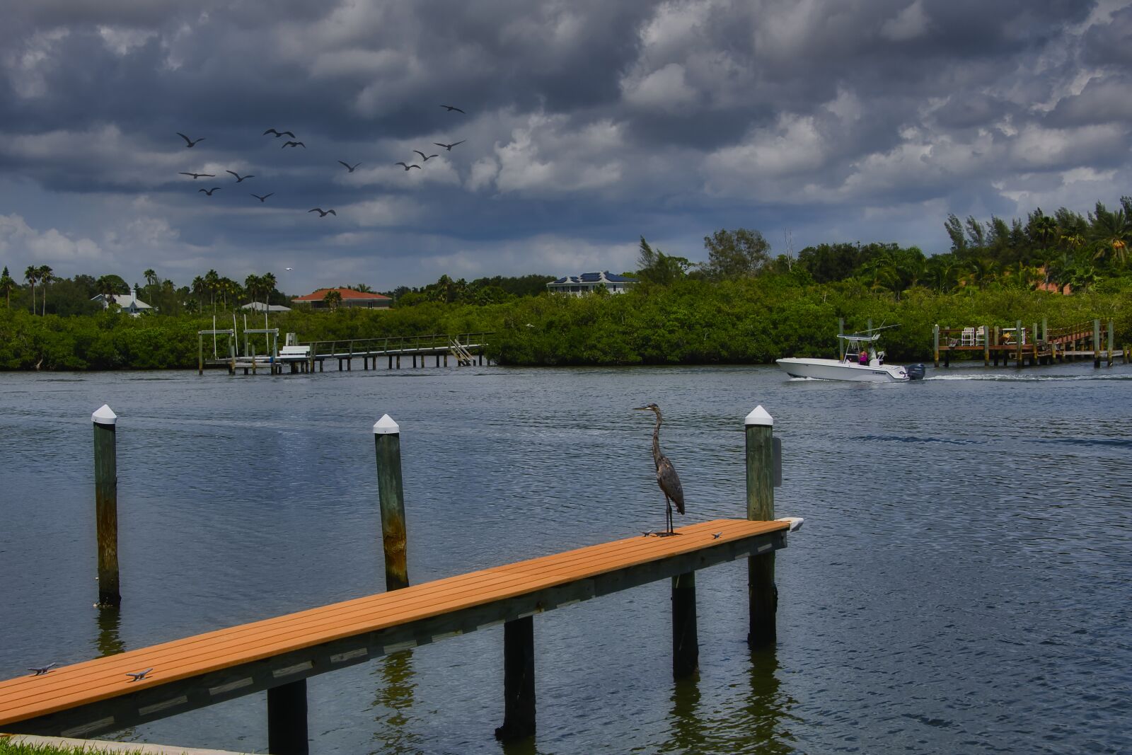 Nikon D850 sample photo. Water, dock, florida photography