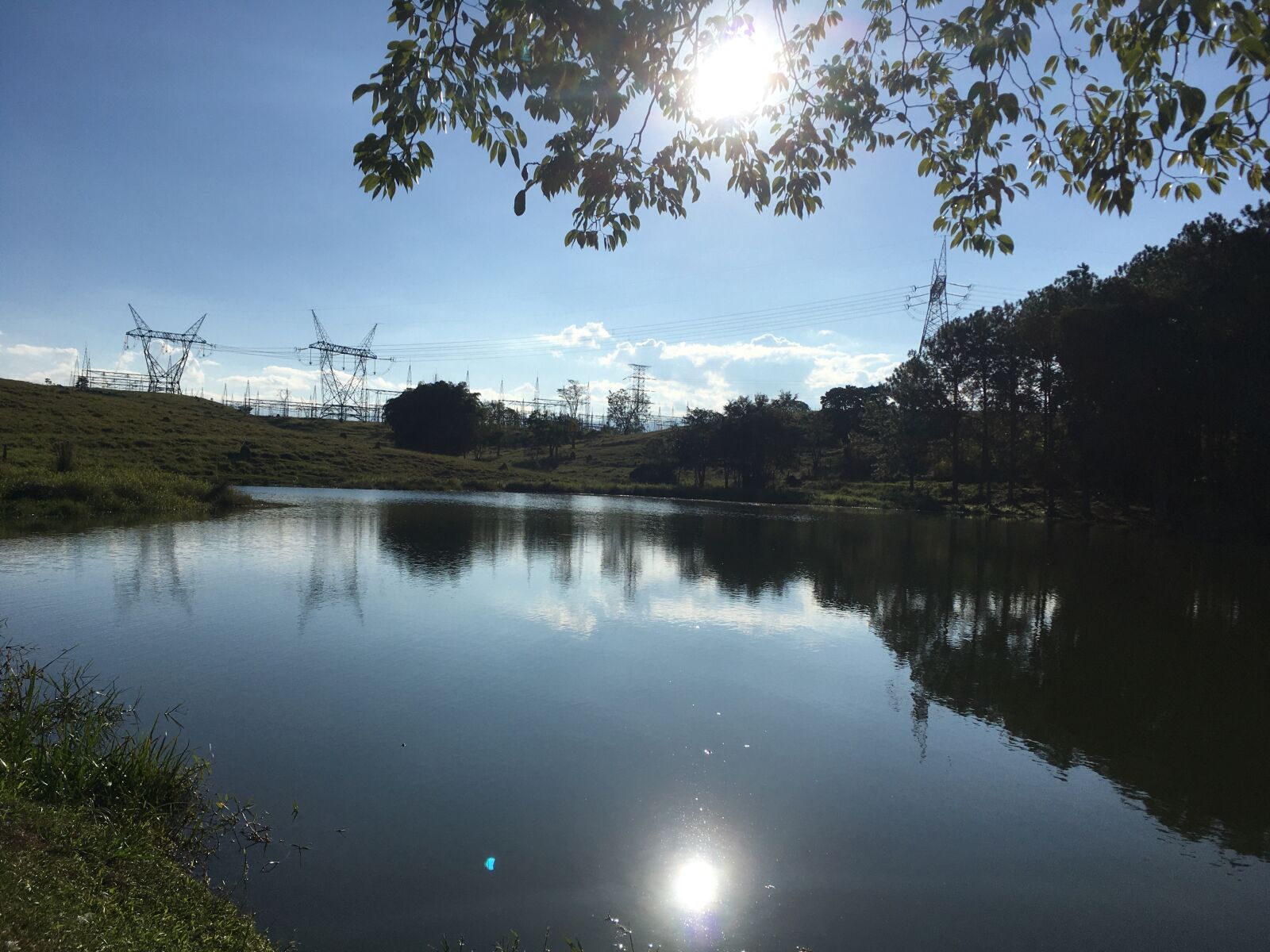 iPhone SE back camera 4.15mm f/2.2 sample photo. Nature, lake, pond photography