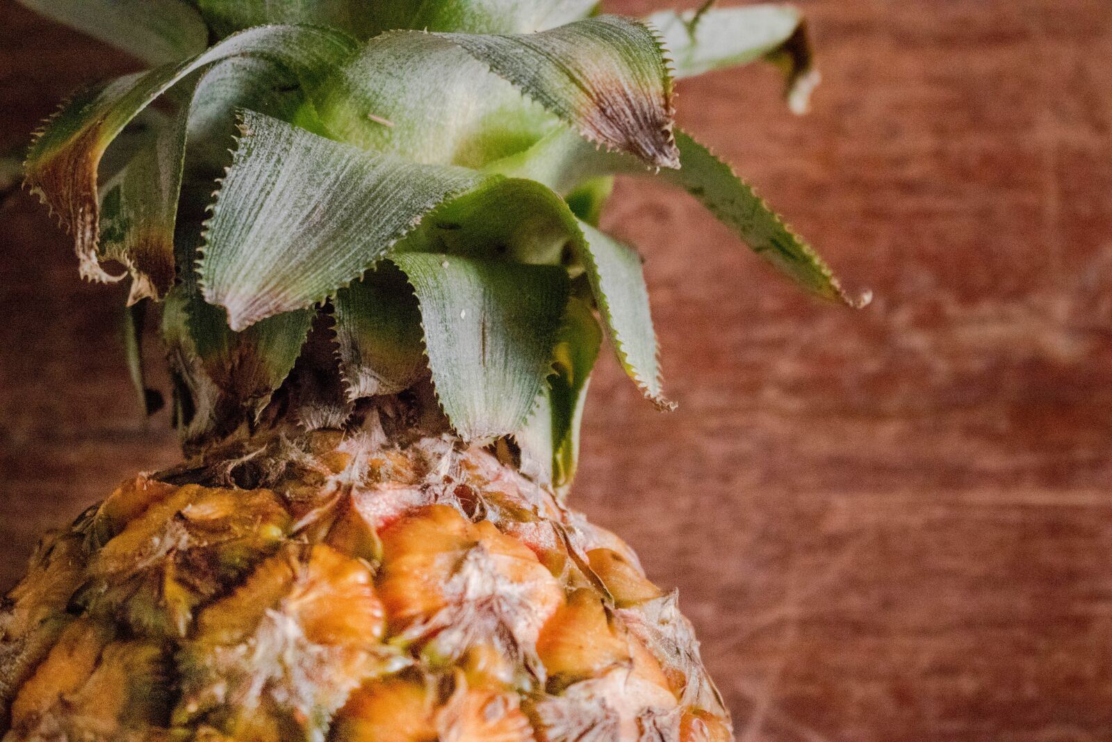 Canon EOS 80D sample photo. Pineapple, healthy, food photography