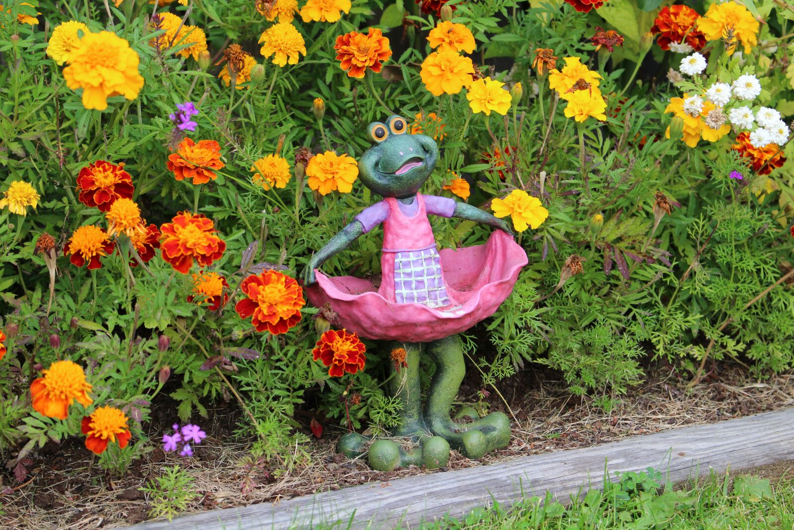 Canon EOS 100D (EOS Rebel SL1 / EOS Kiss X7) sample photo. Frog, flowers, greenery photography