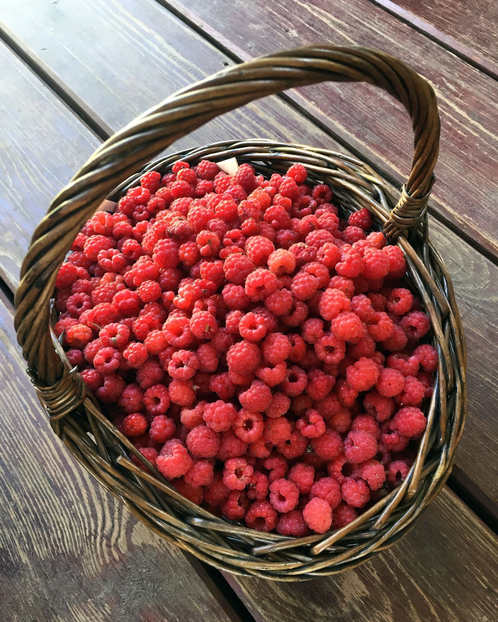 Apple iPhone 6 sample photo. Forest raspberry, basket, wild photography