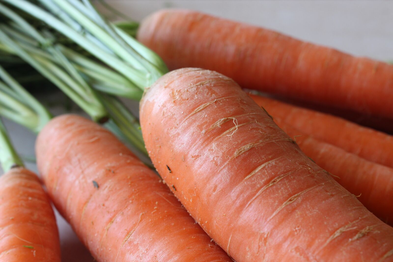 Canon EOS 1300D (EOS Rebel T6 / EOS Kiss X80) sample photo. Carrot, carrots, healthy photography