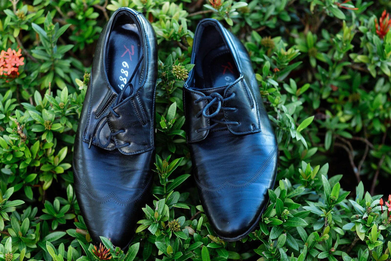 Nikon D610 sample photo. Shoes, wedding, husband photography