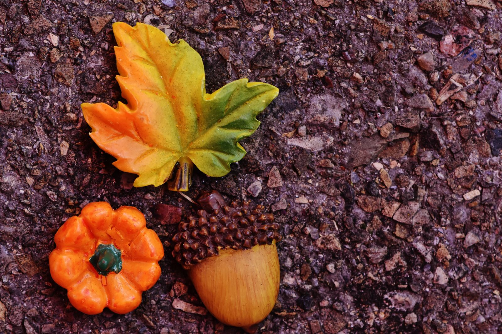 Nikon D7200 sample photo. Autumn, leaf, leaves in photography
