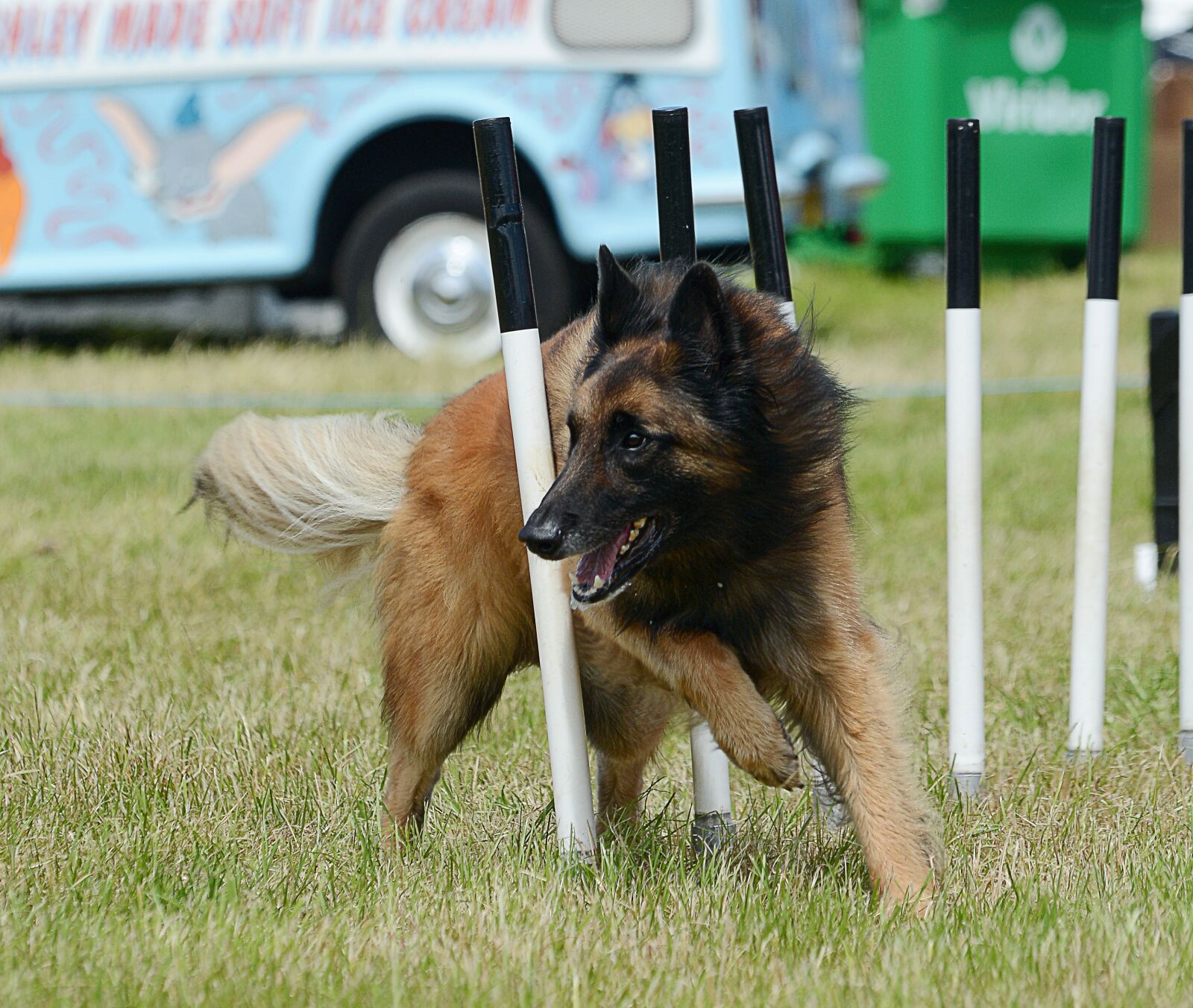 Nikon D7100 sample photo. Agility, dog, belgian shepherd photography