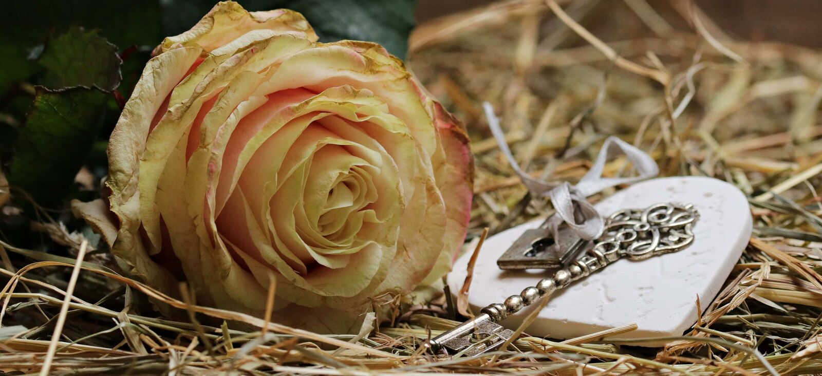 Canon EOS 80D sample photo. Heart, hay, metal, key photography