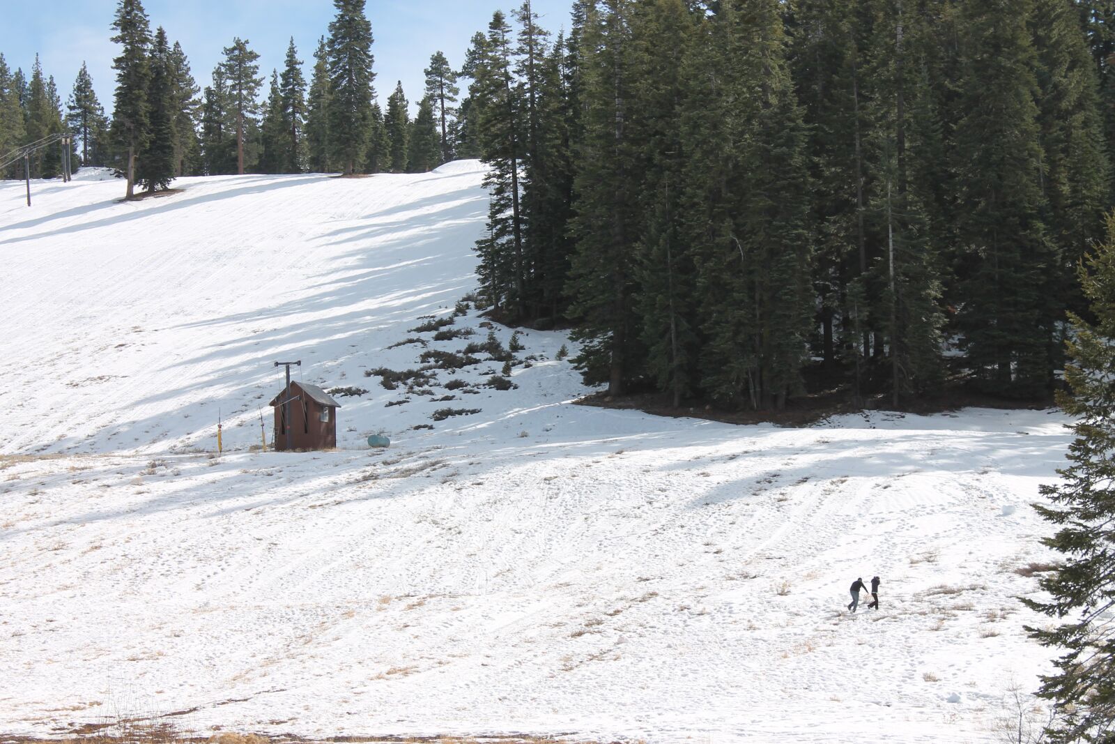 Canon EOS 1100D (EOS Rebel T3 / EOS Kiss X50) sample photo. Snow, trees, mountain photography