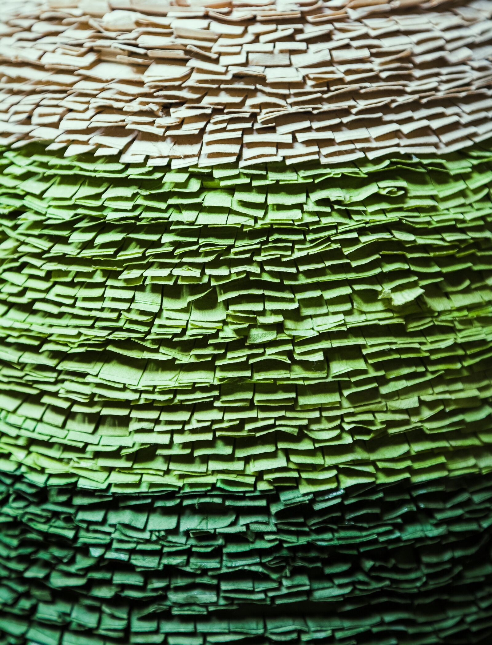 Canon EOS 5D sample photo. Basket, green, texture photography