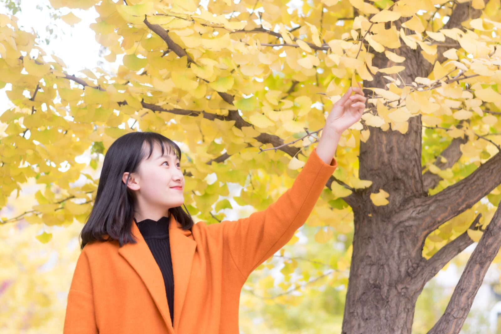 Nikon D3300 sample photo. Ginkgo, girls, shenyang agricultural photography