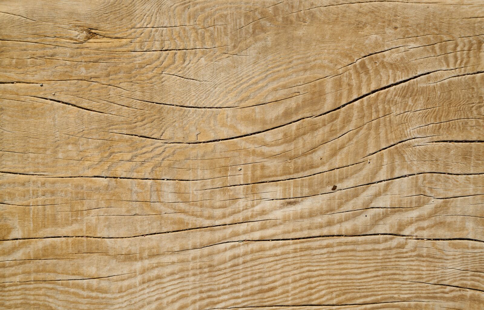 Sony a7R II sample photo. Wood-fibre boards, timber, wood photography