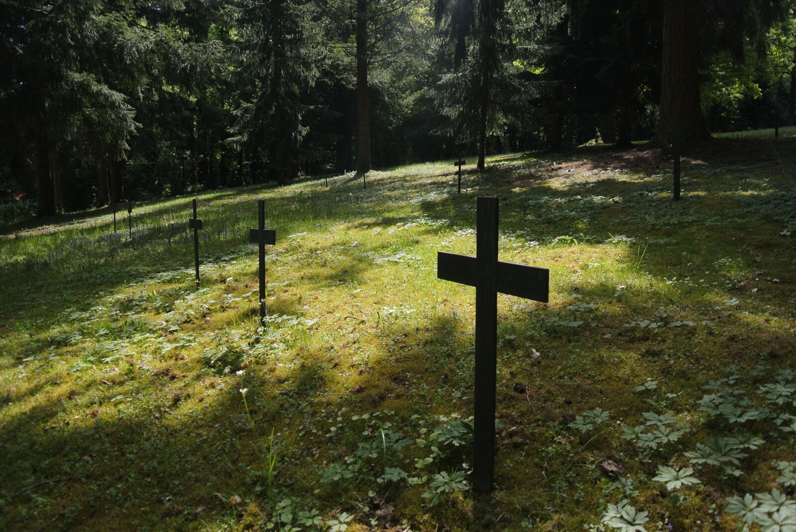 Nikon 1 J1 sample photo. Cross, cemetery, mourning photography