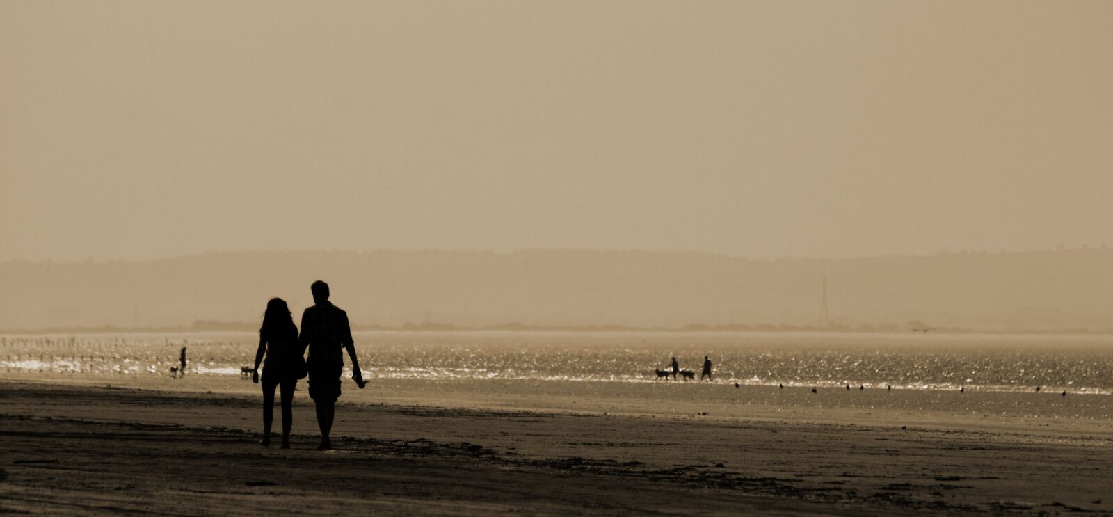 Canon EOS 550D (EOS Rebel T2i / EOS Kiss X4) sample photo. Beach, black, and, white photography