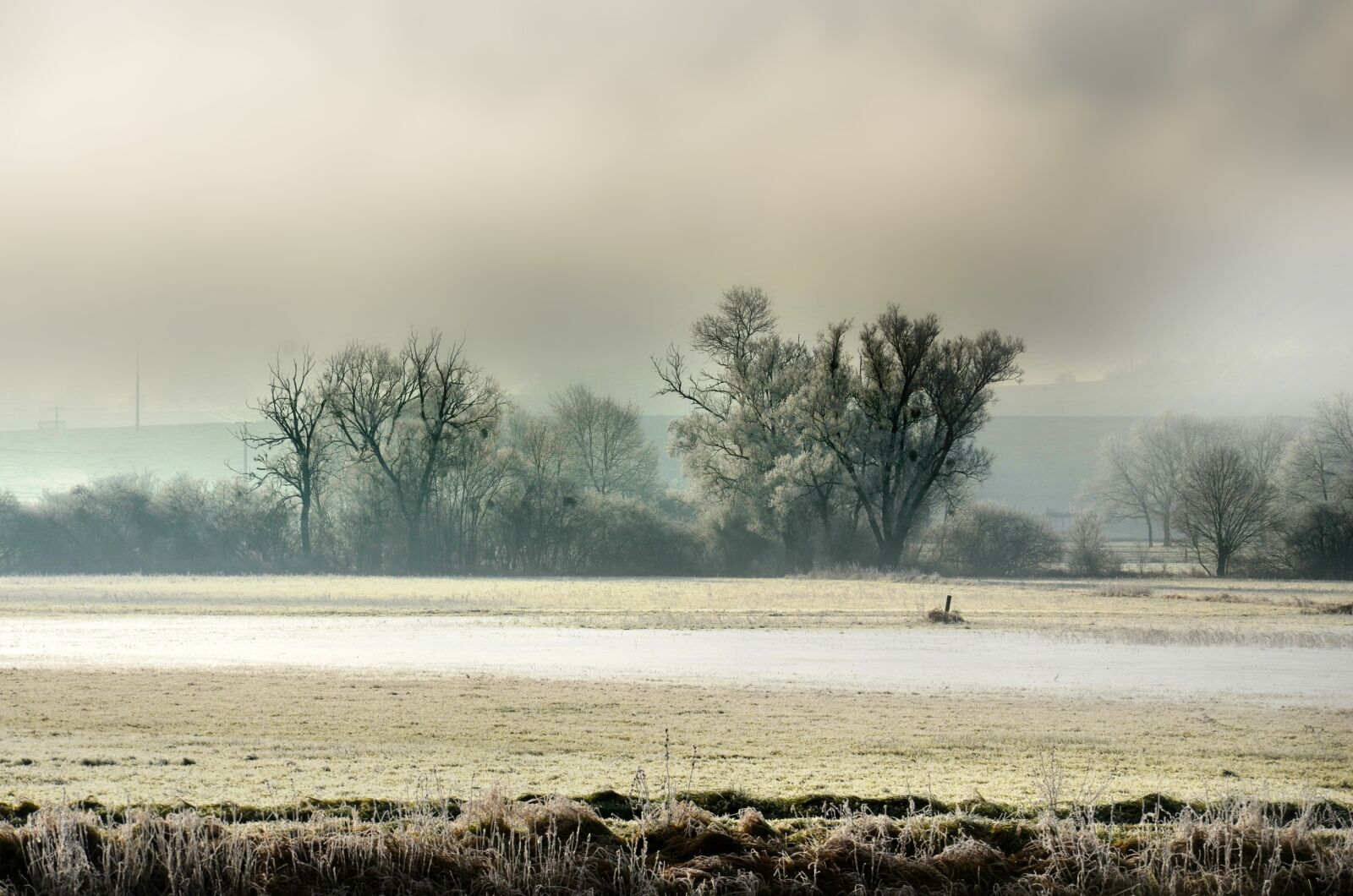Nikon D5100 sample photo. Landscape, countryside, fog photography