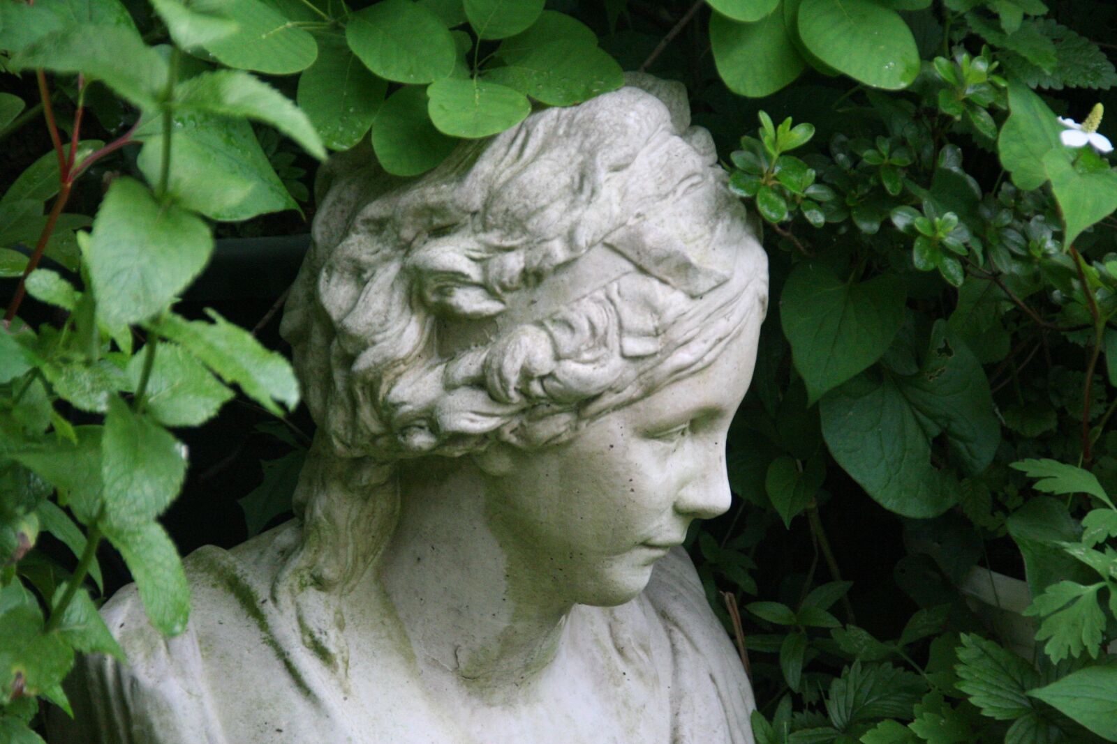 Canon EOS 350D (EOS Digital Rebel XT / EOS Kiss Digital N) sample photo. Female bust, garden, statue photography