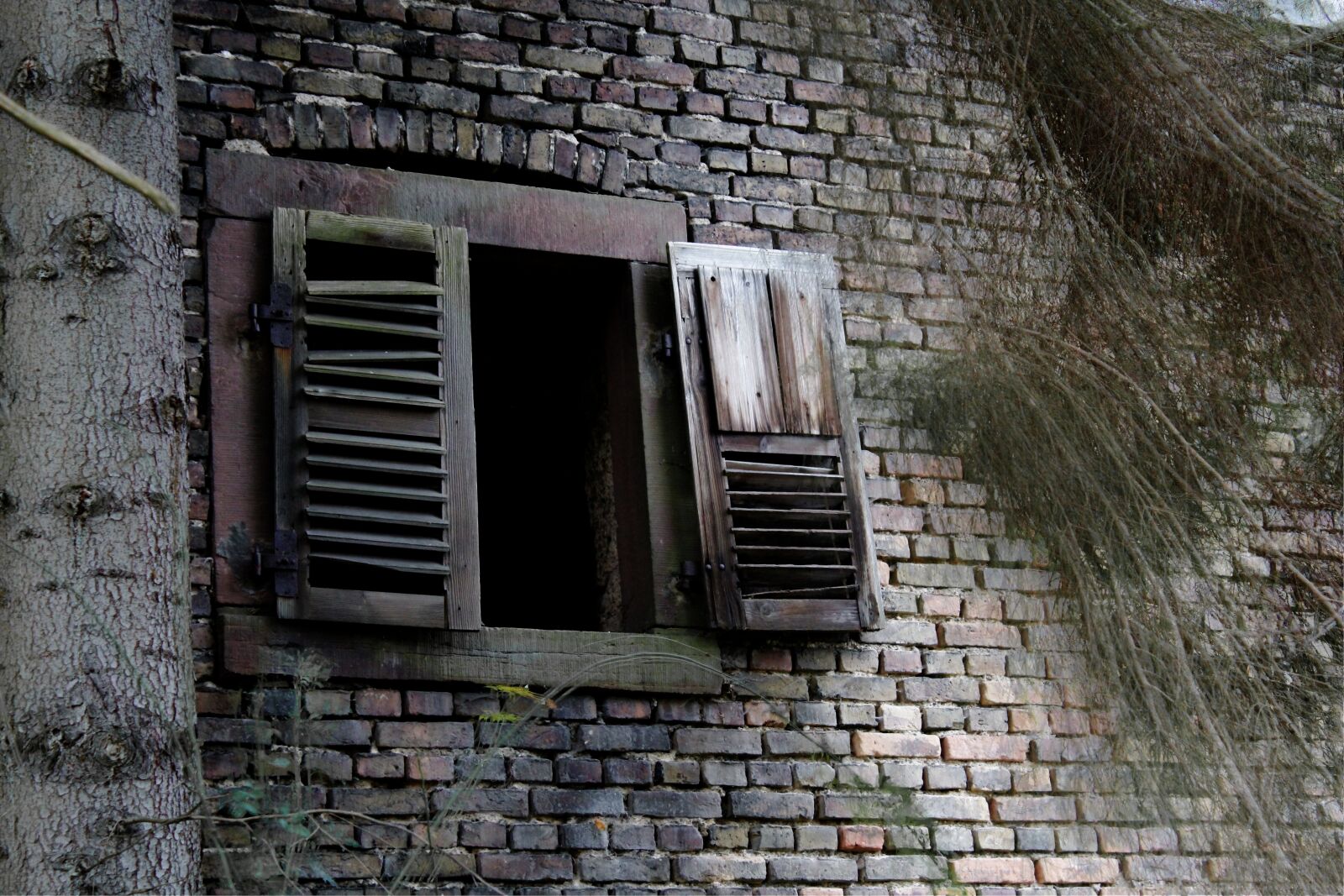 Canon EOS 550D (EOS Rebel T2i / EOS Kiss X4) sample photo. Wood shop, window, old photography