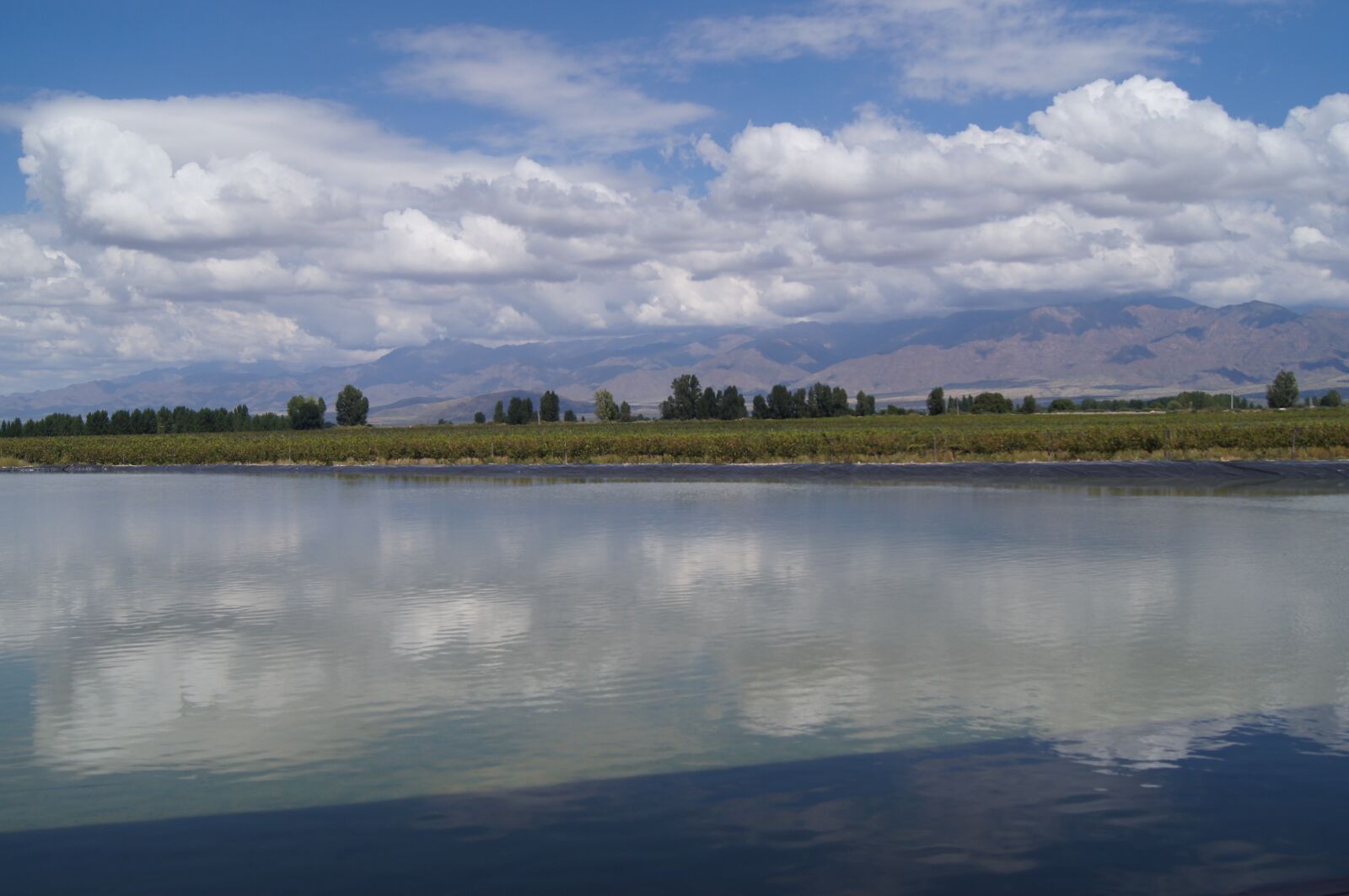 Sony SLT-A35 + Sony DT 18-55mm F3.5-5.6 SAM sample photo. Vineyard, mendoza, wine photography