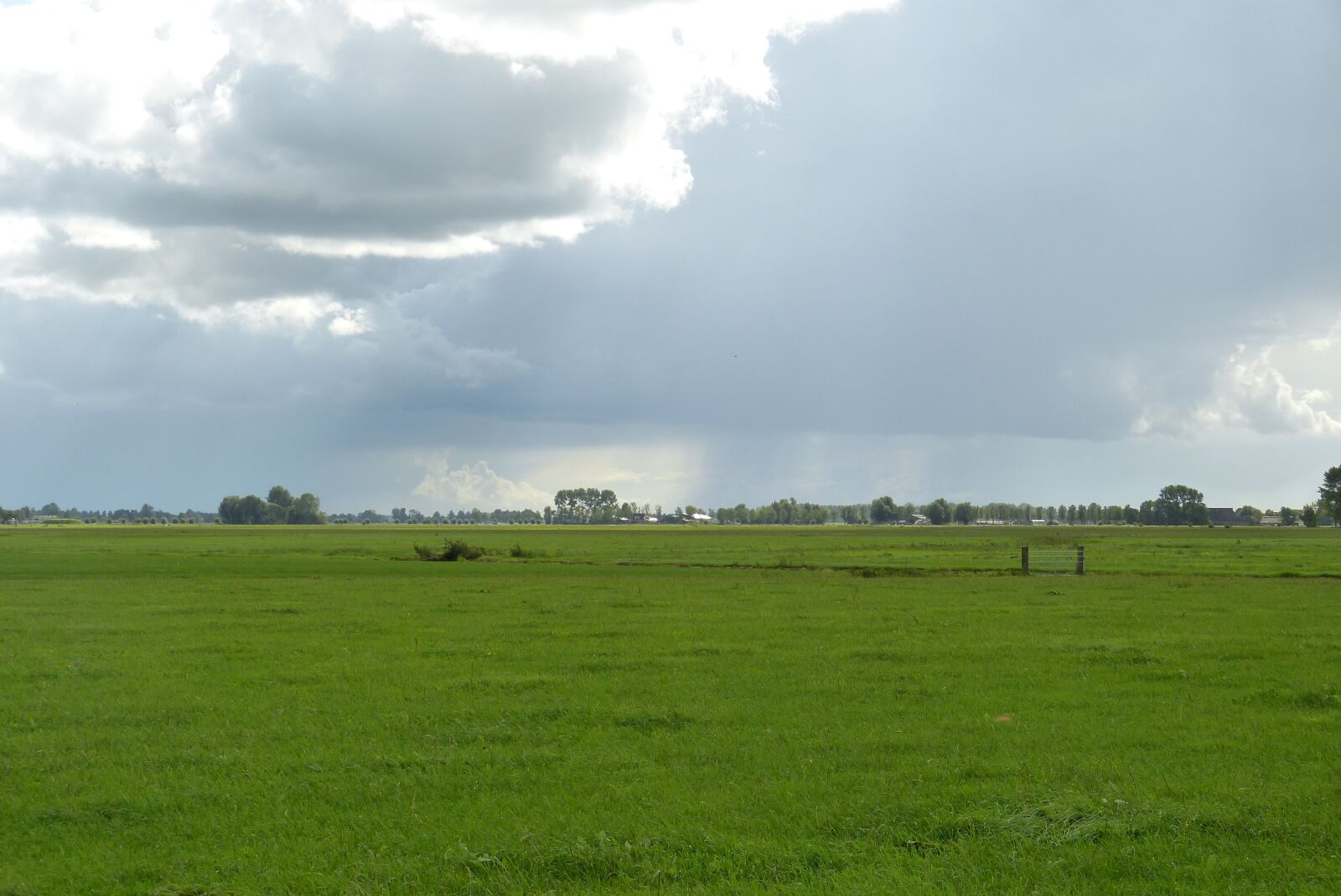 Panasonic Lumix DMC-FZ150 sample photo. Meadow, cloud, sky photography