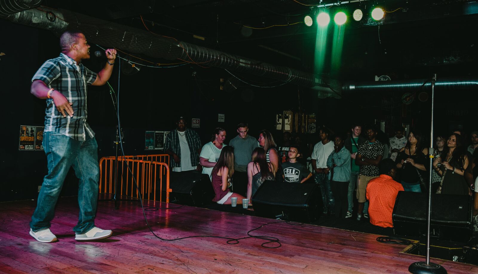 Nikon D3300 sample photo. Concert, artist, mic photography