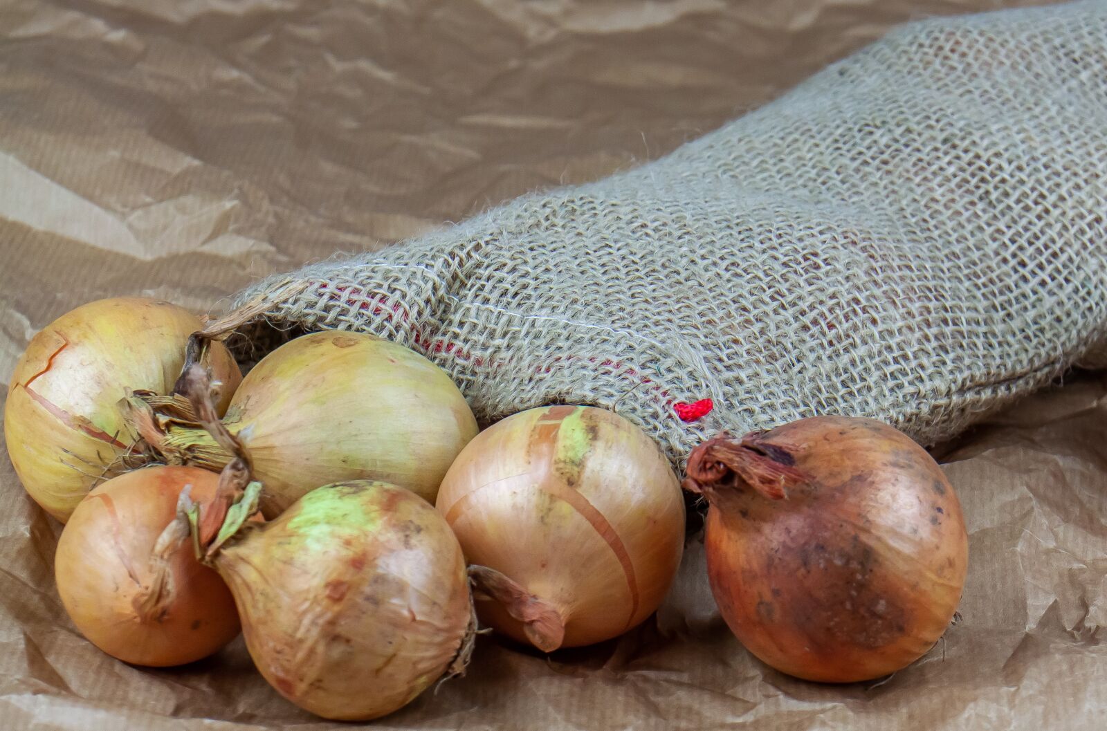 Canon EOS 50D sample photo. Onion, bag, jute photography