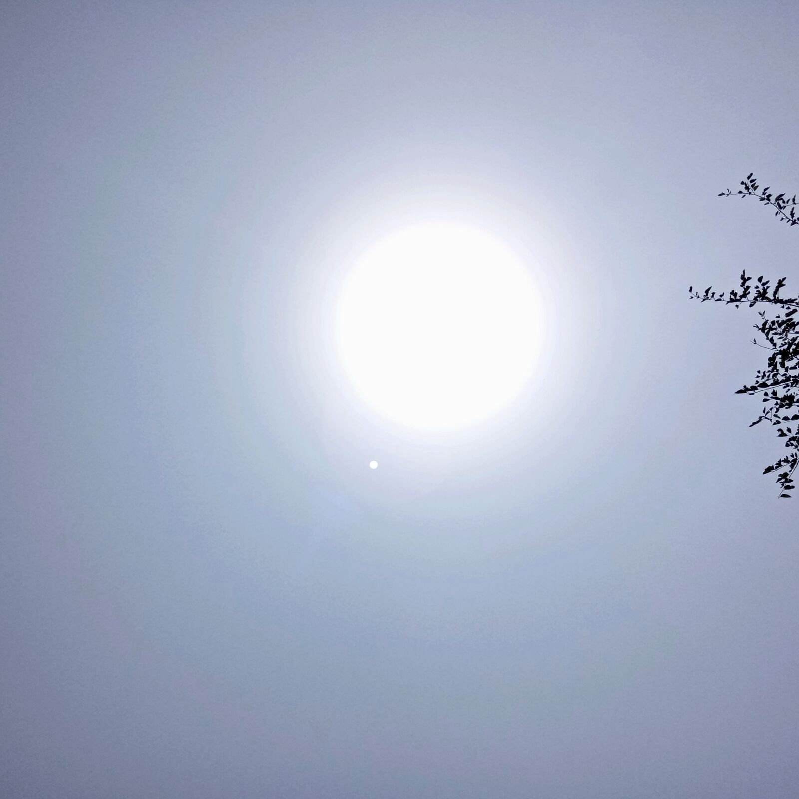 INFINIX MOBILITY LIMITED Infinix X650C sample photo. Sunny day and sun photography
