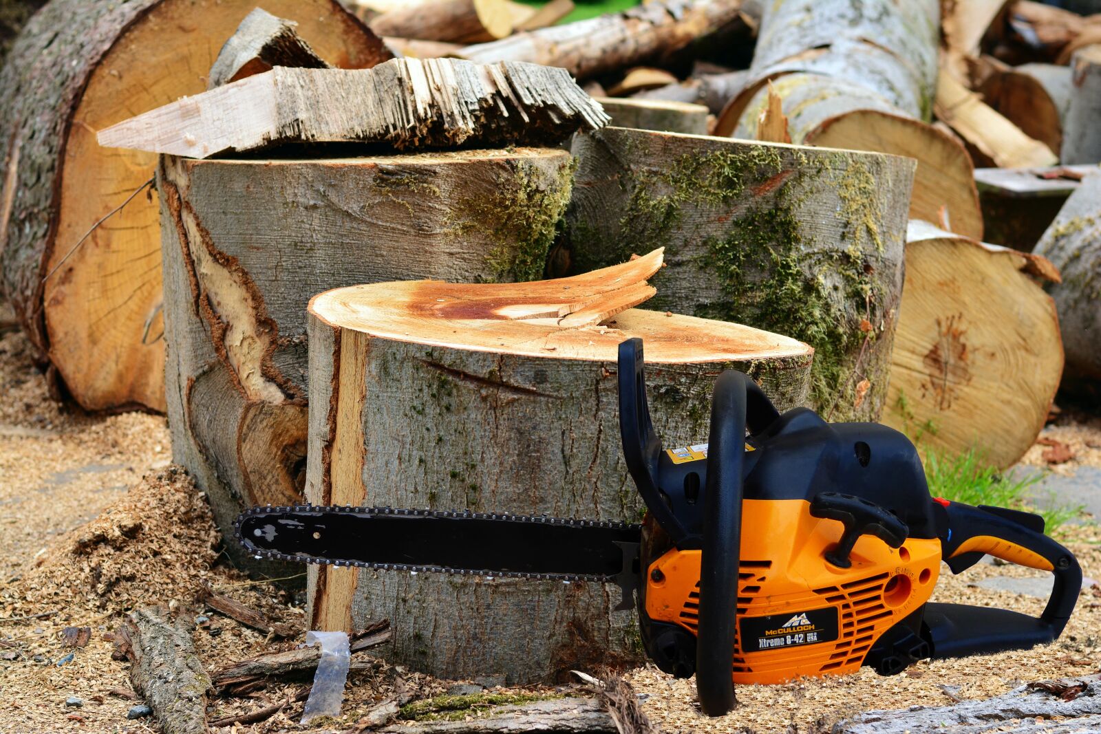 Nikon D5200 sample photo. Wood, trees, cuts photography