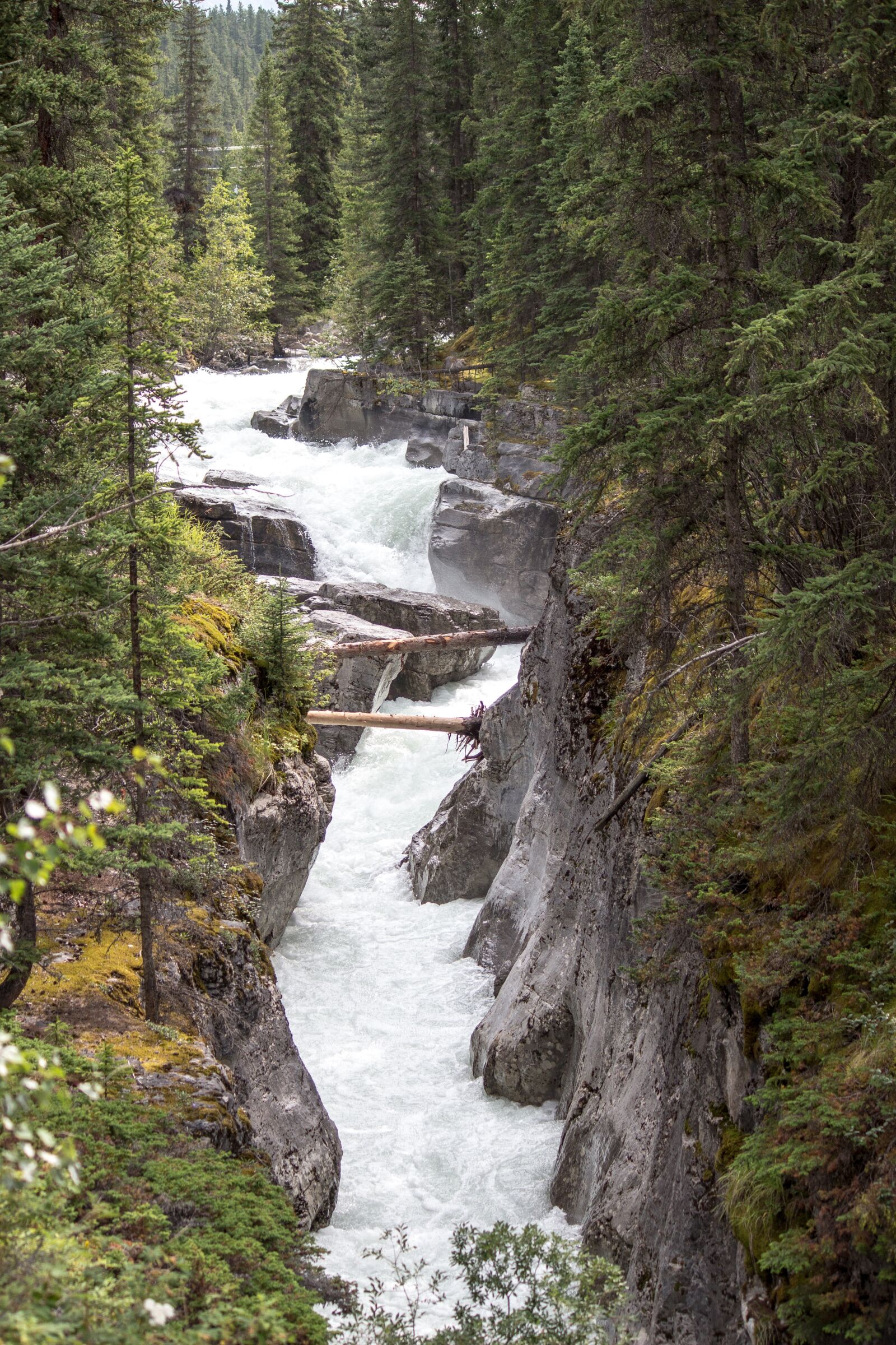 Canon EF-S 55-250mm F4-5.6 IS sample photo. Maligne river, jasper, alberta photography