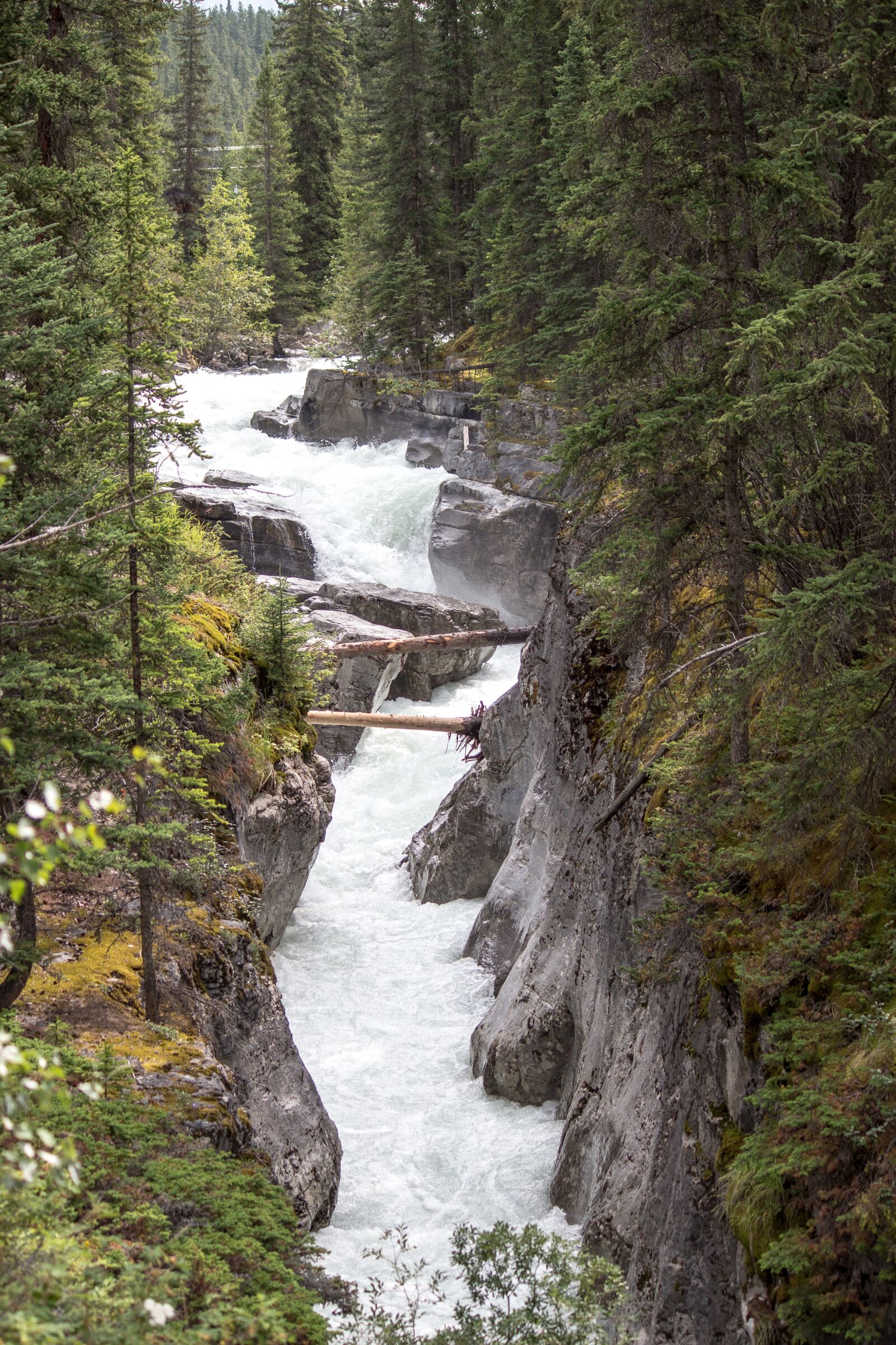 Canon EOS 650D (EOS Rebel T4i / EOS Kiss X6i) + Canon EF-S 55-250mm F4-5.6 IS sample photo. Maligne river, jasper, alberta photography