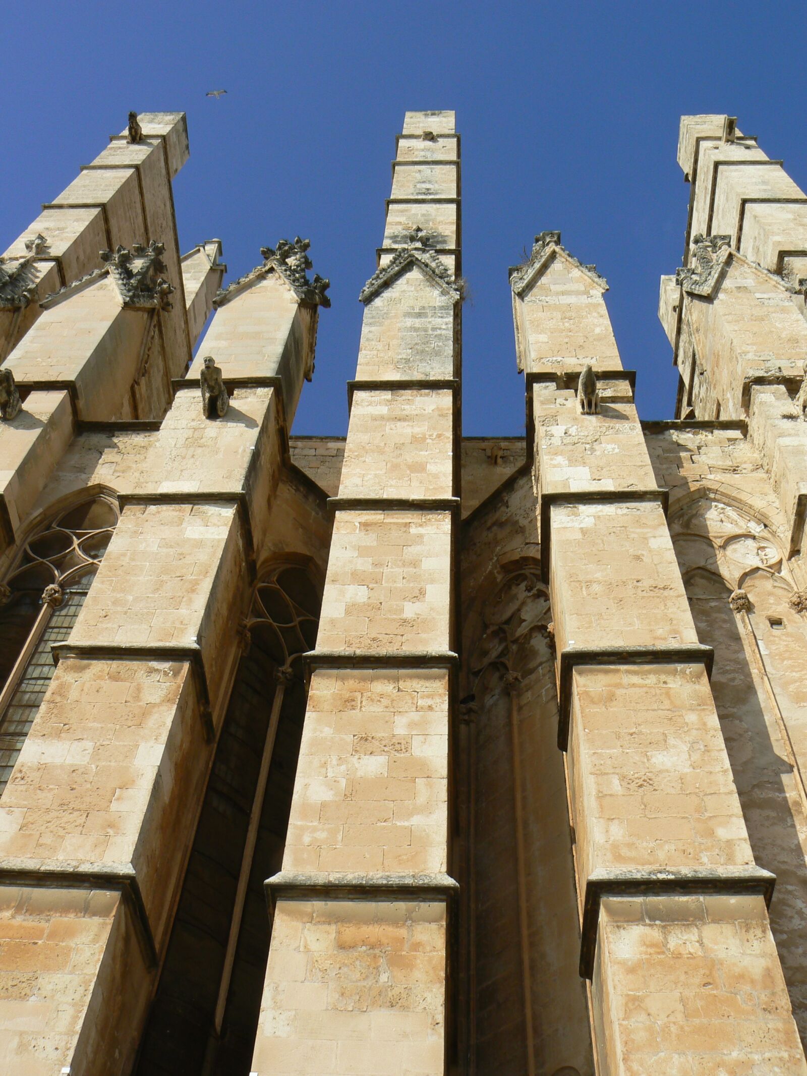Panasonic DMC-FZ7 sample photo. Buttresses, cathedral, palma de photography
