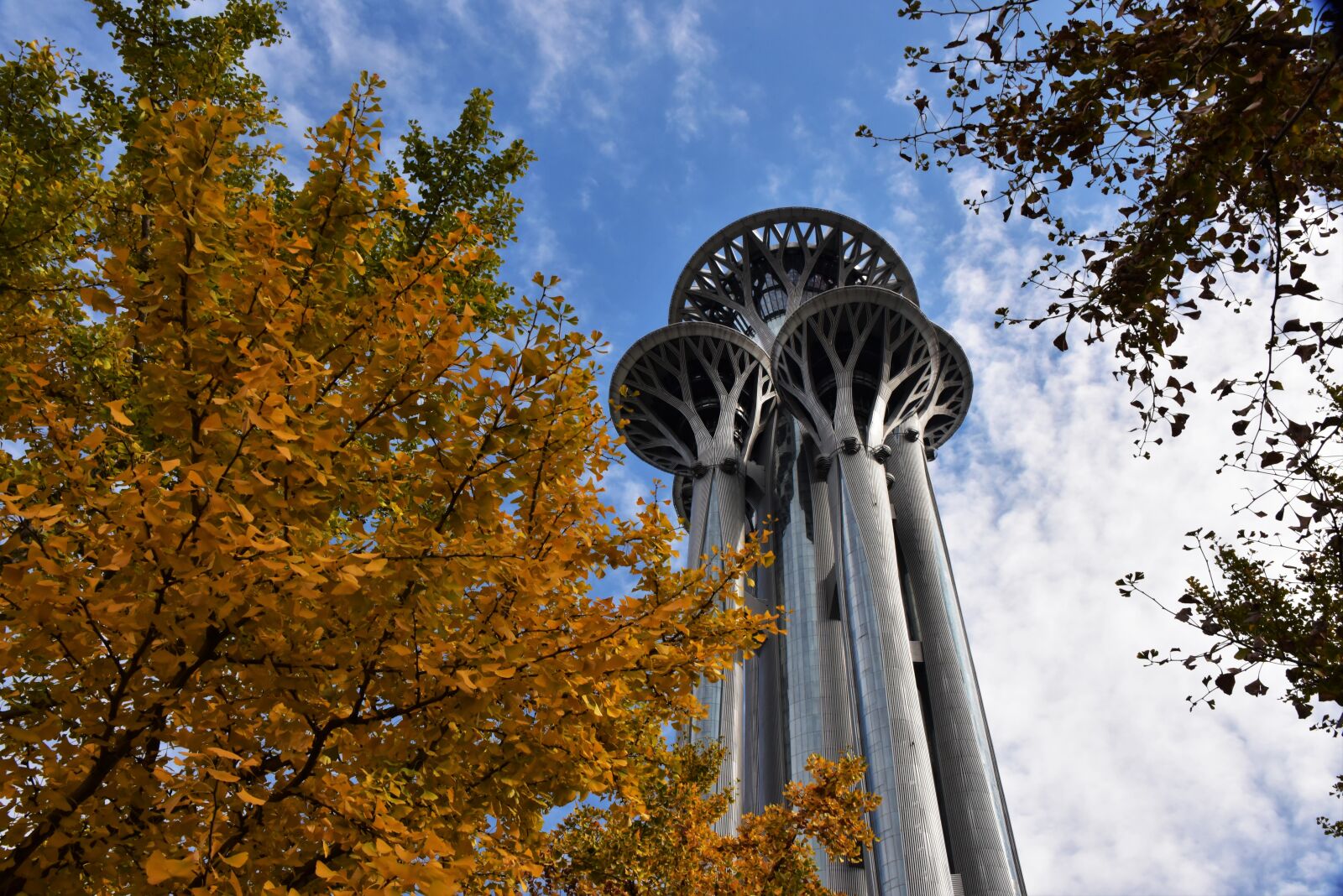 Nikon D810 sample photo. Autumn, building, the olympic photography