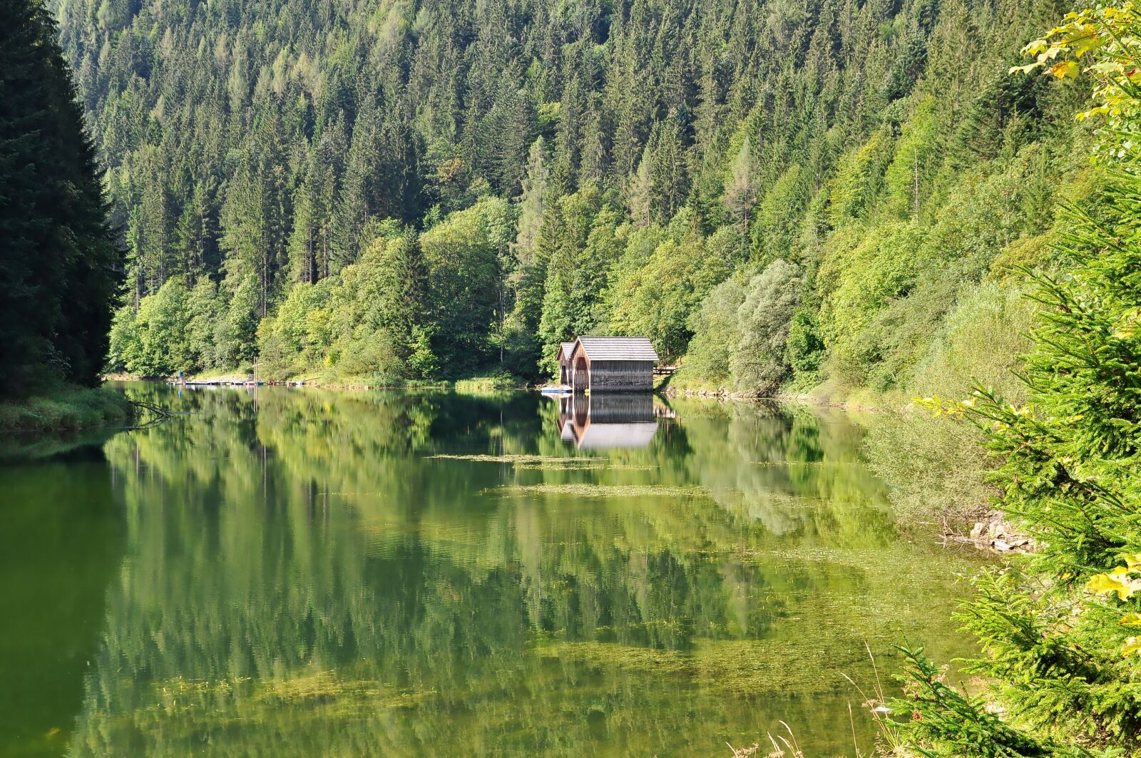 Nikon D90 sample photo. Nature, landscape, lake photography