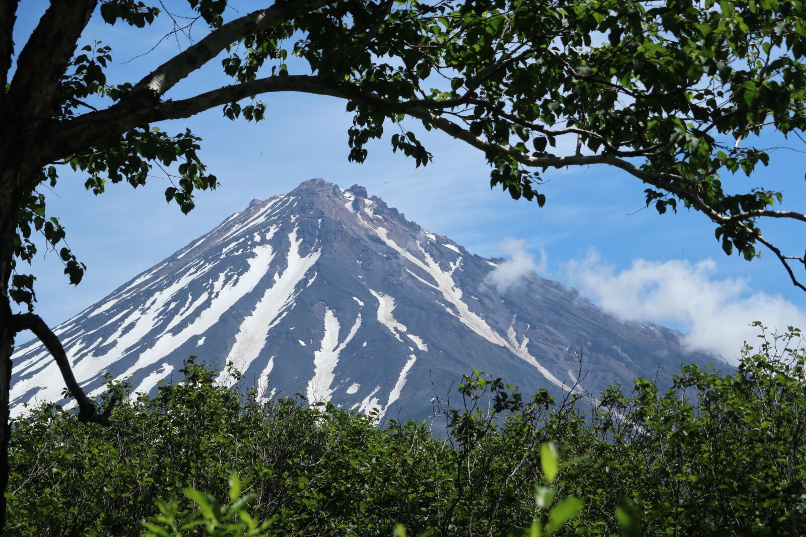 Canon PowerShot G1 X Mark III sample photo. Koryaksky volcano, kamchatka, summer photography