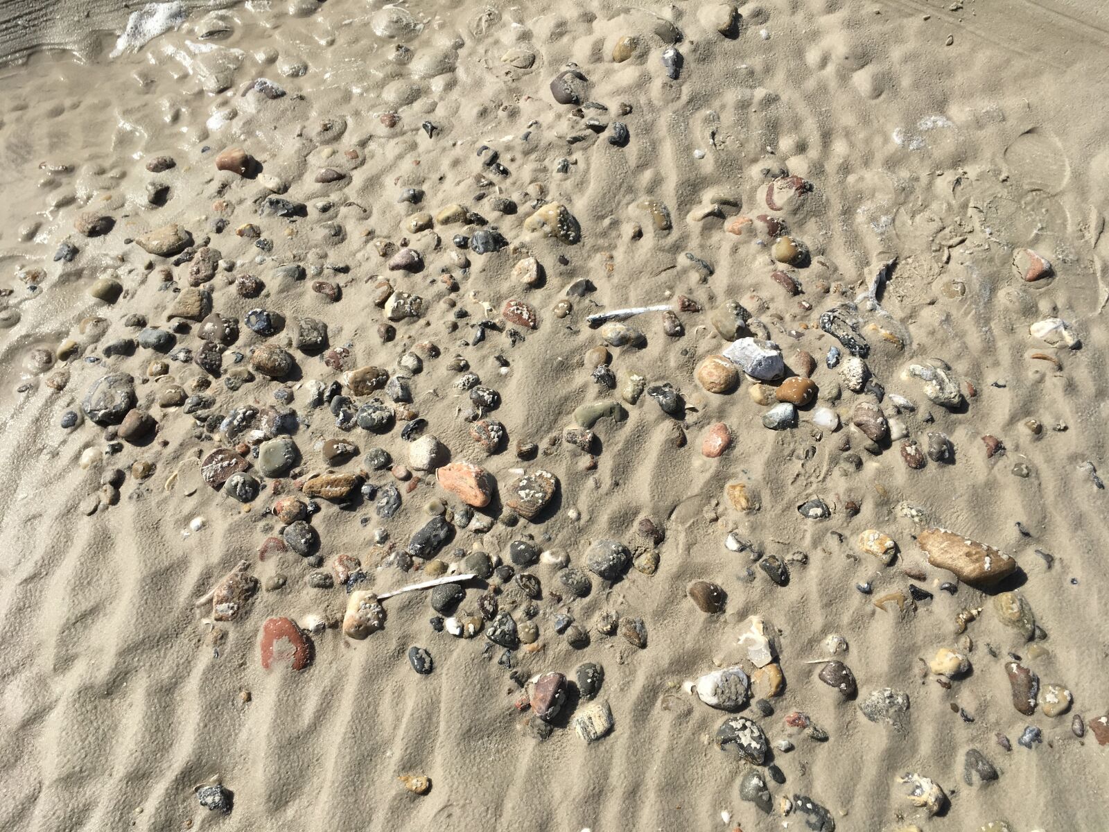 Apple iPad Pro sample photo. North sea, beach, sand photography