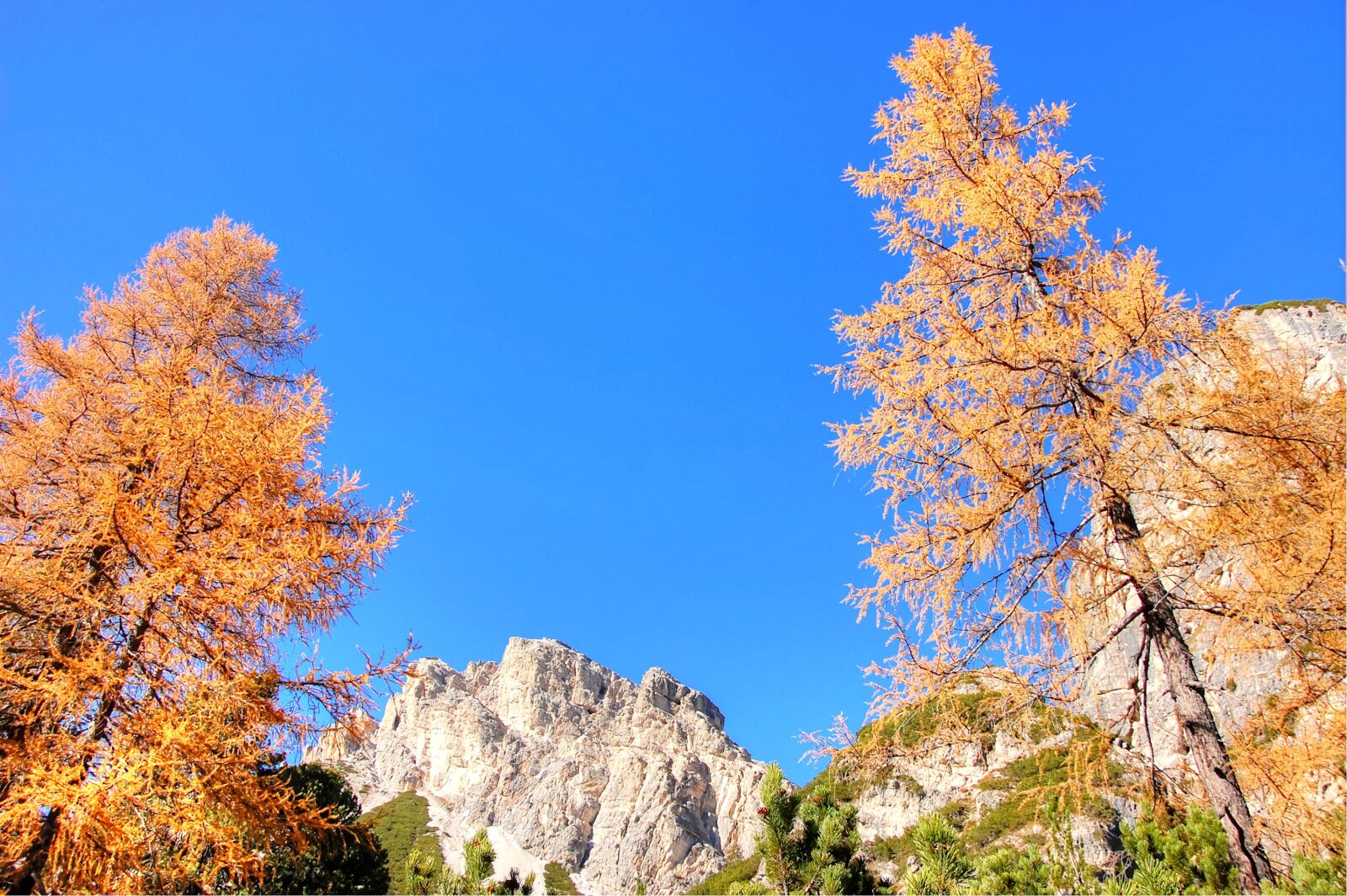 Nikon D40 sample photo. Autumn, dolomites, landscape photography